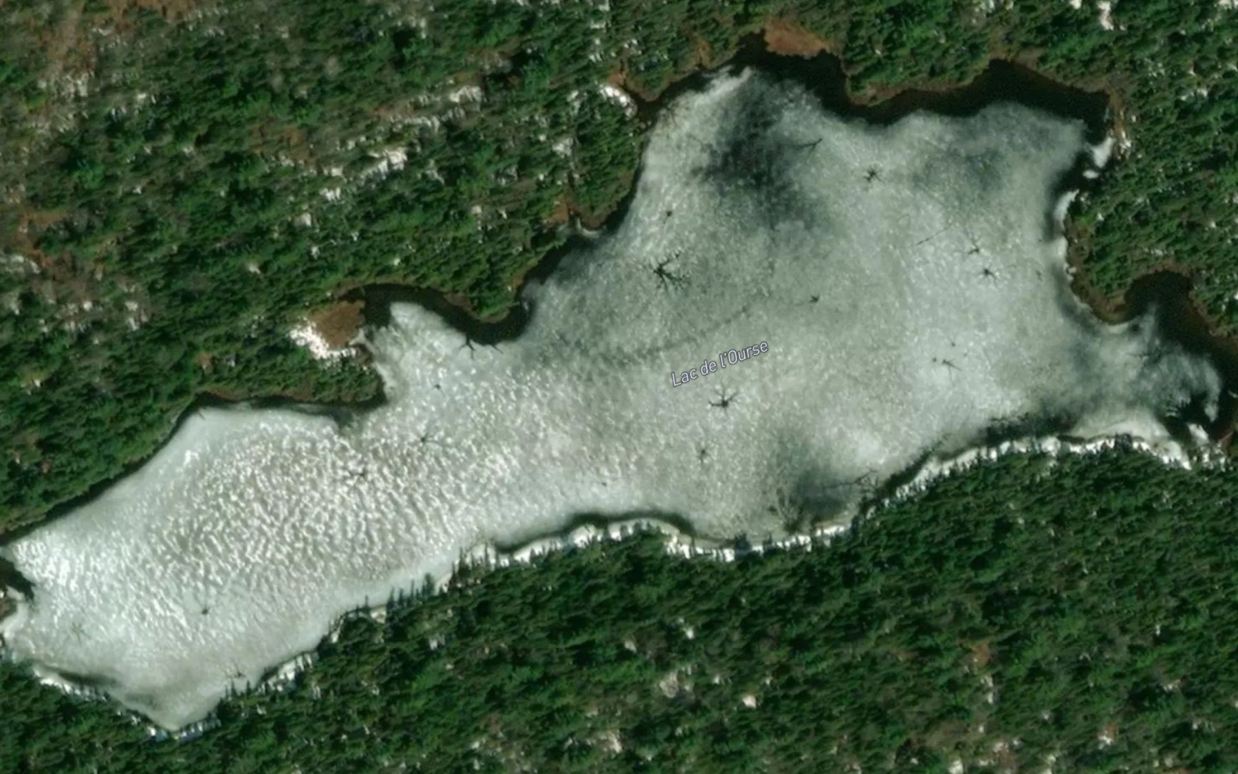 Satellite map of the Lac de l'Ourse