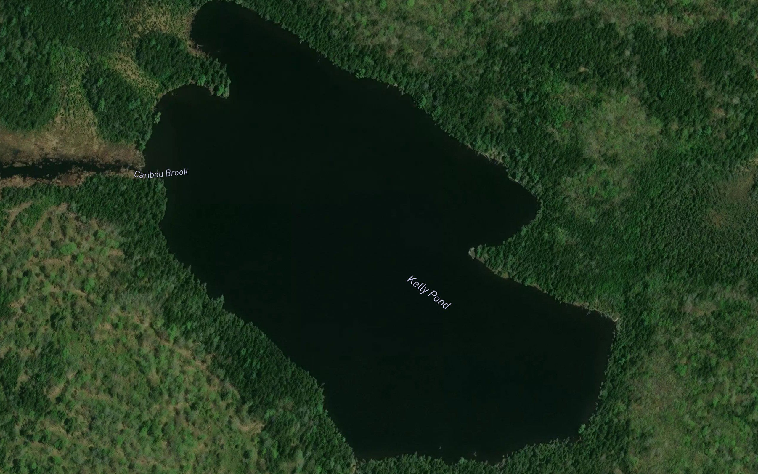 Kelly Pond