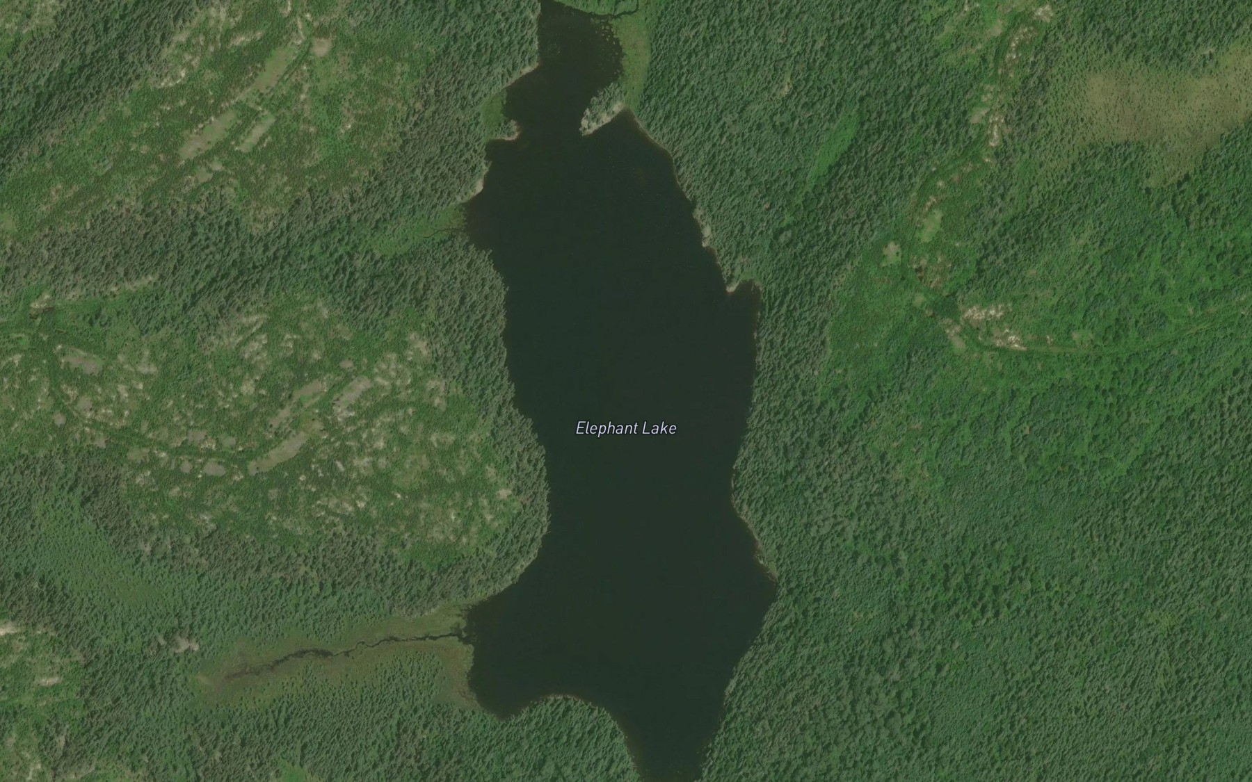 Satellite map of the Elephant Lake