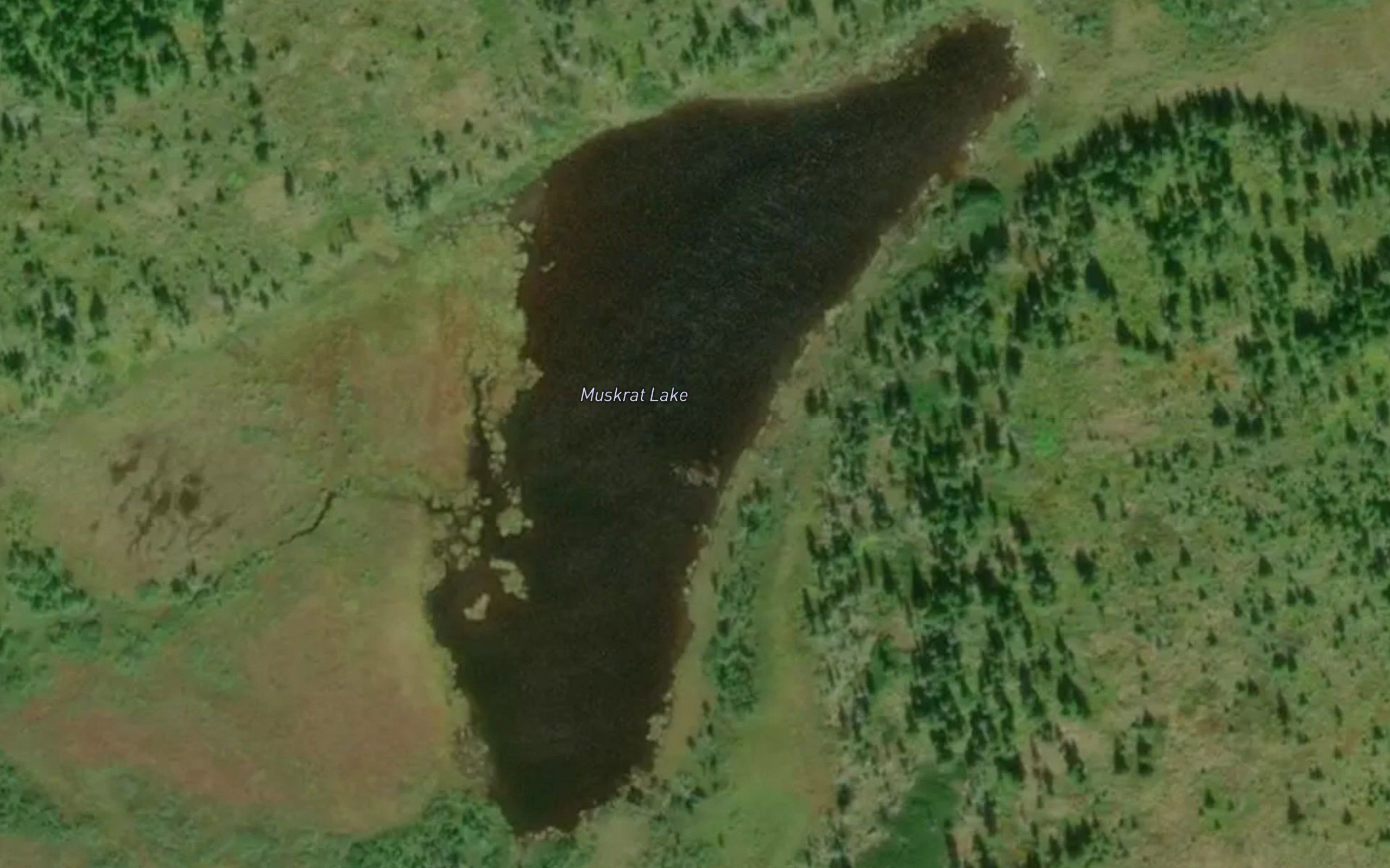 Muskrat Lake