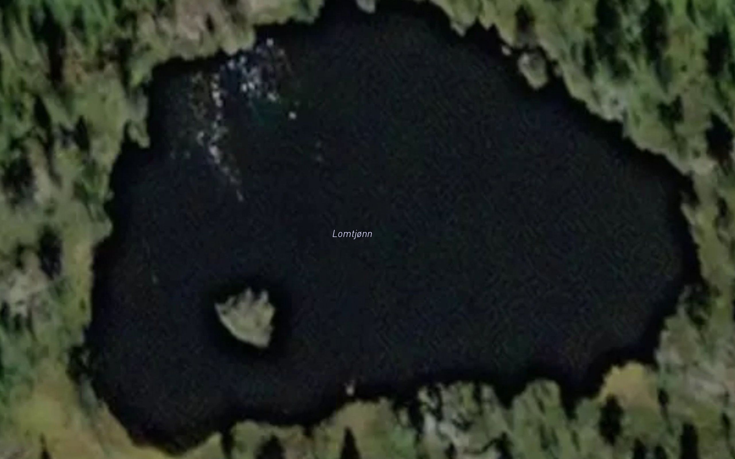 Lomtjonn