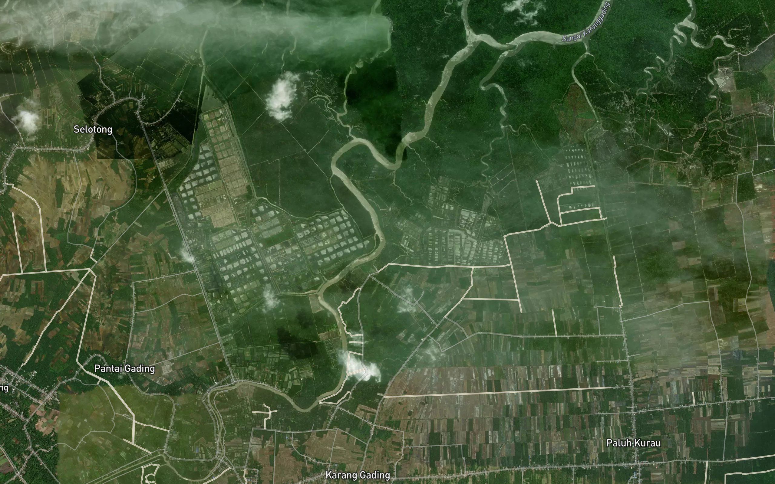 Paluh Buaya