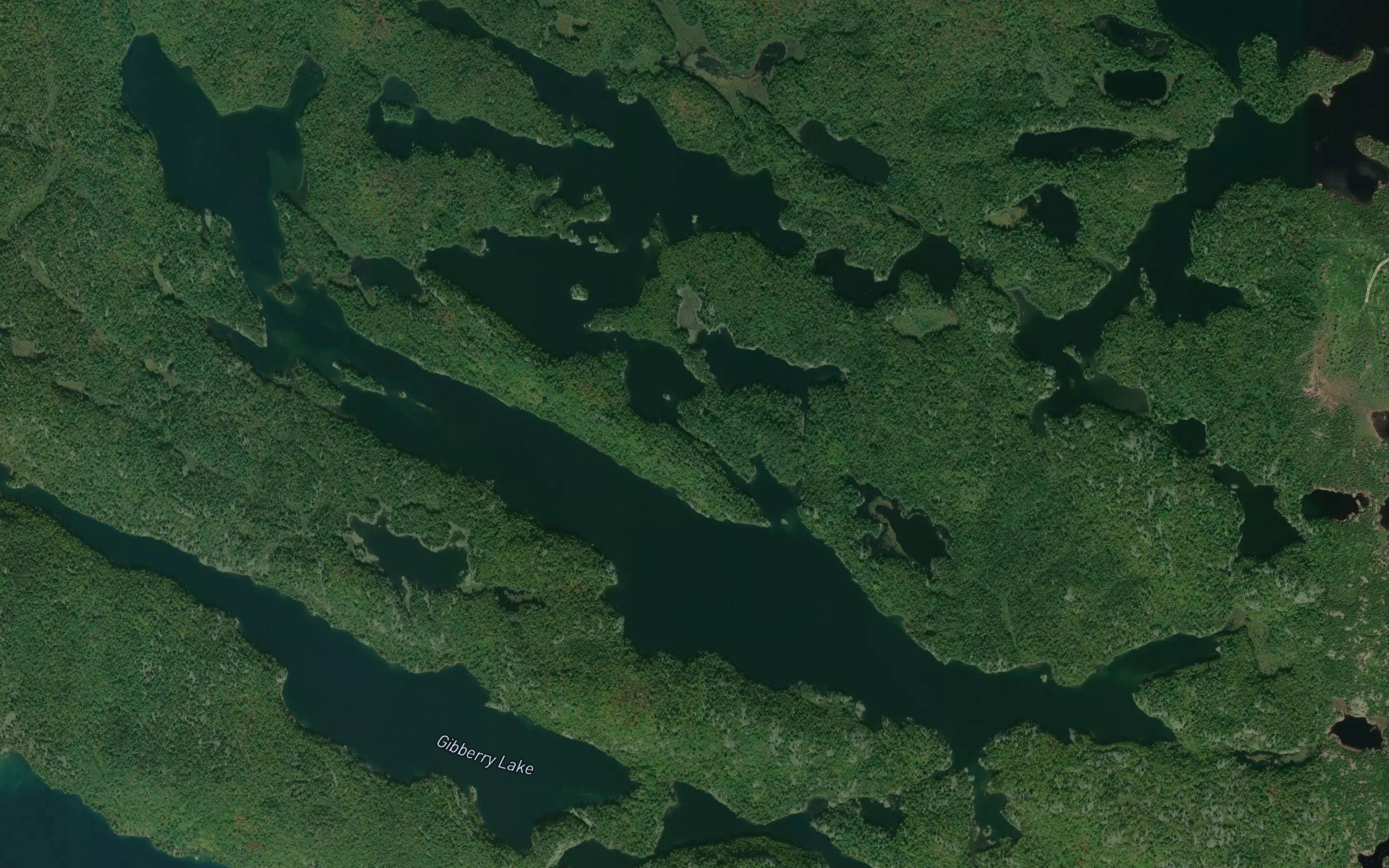 Dollyberry Lake