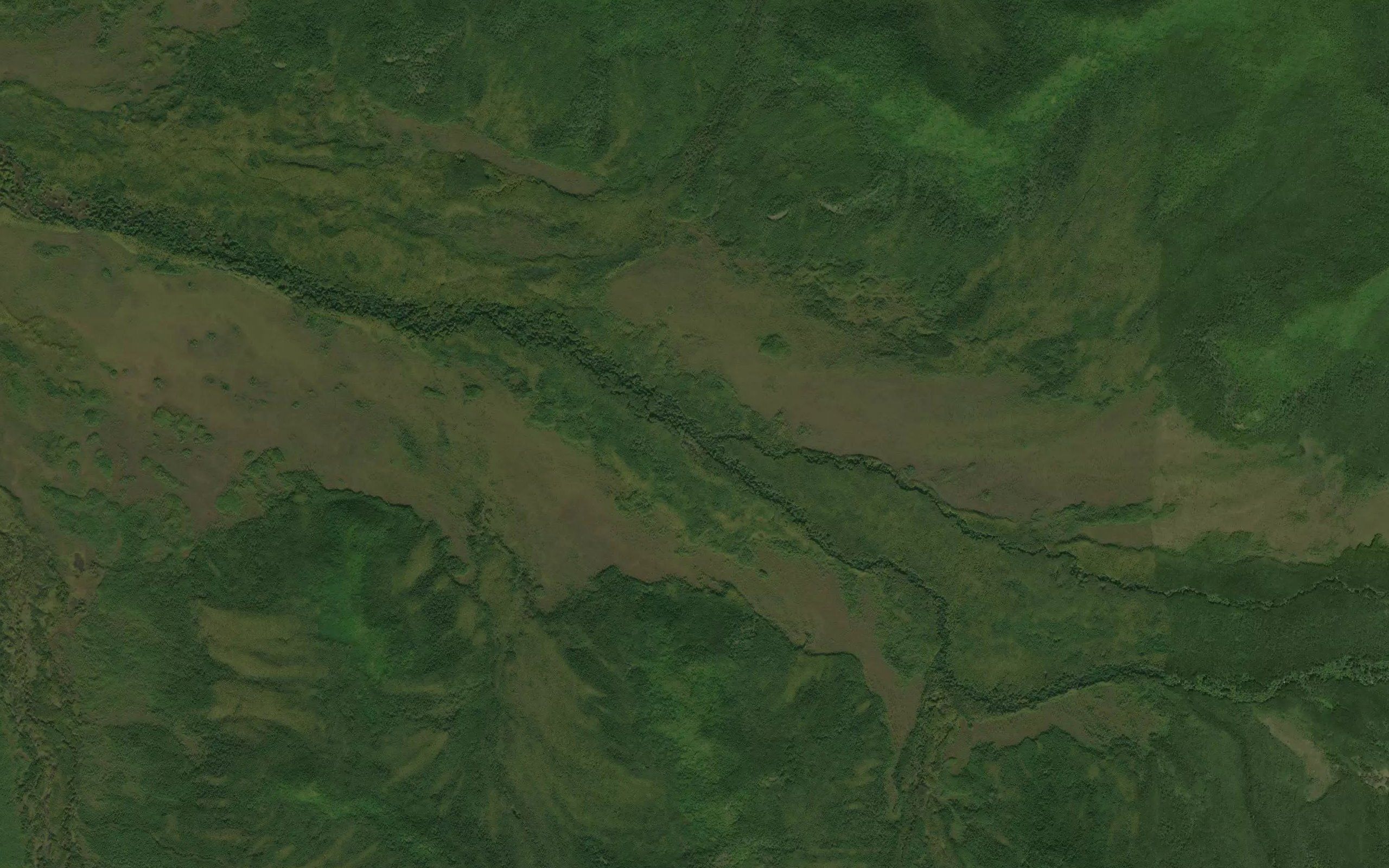 Nizhniye Kokol'ni