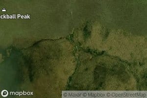 Three Shanties Brook