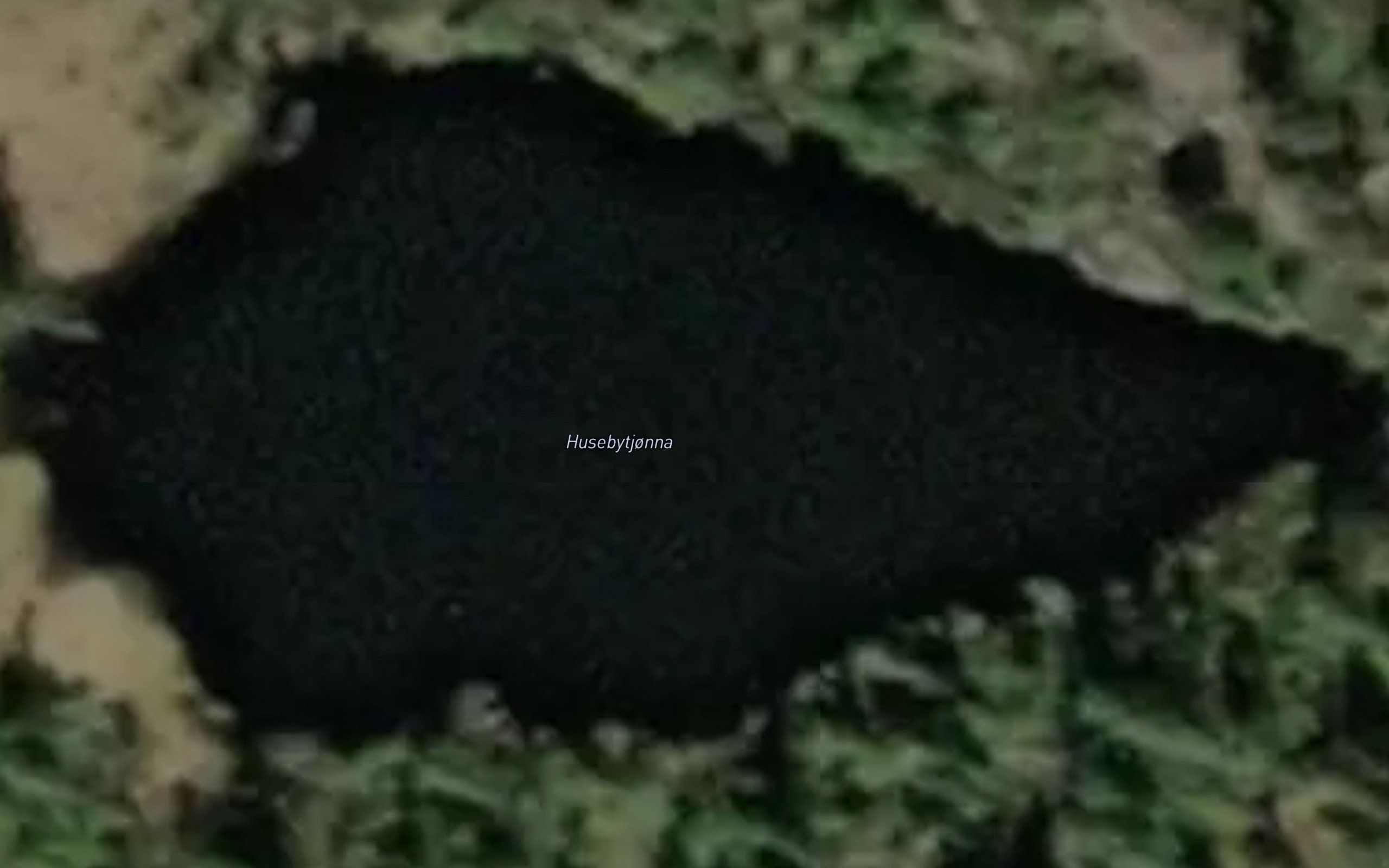 Husebytjonna