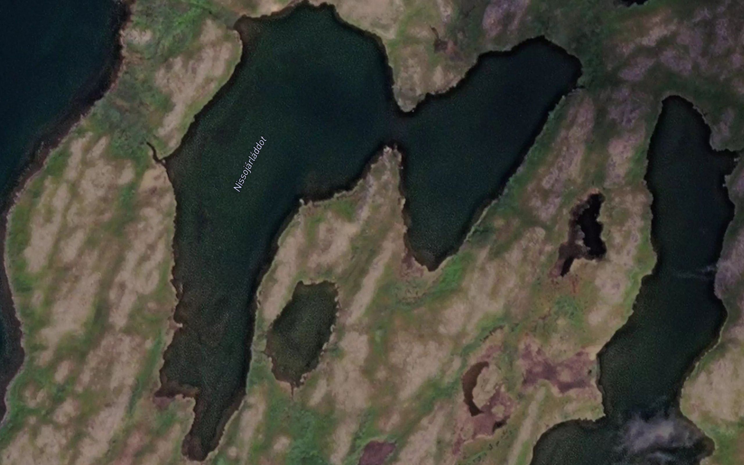 Nissujarladdut