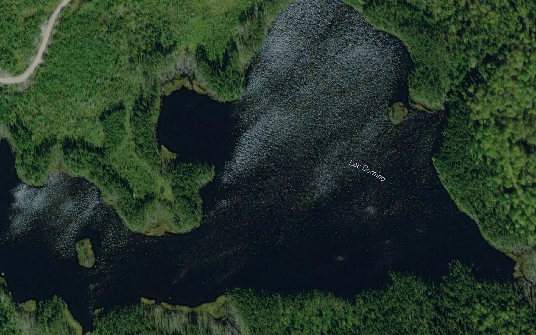 Satellite map of the Lac Domino