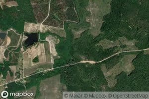 Reedy Creek