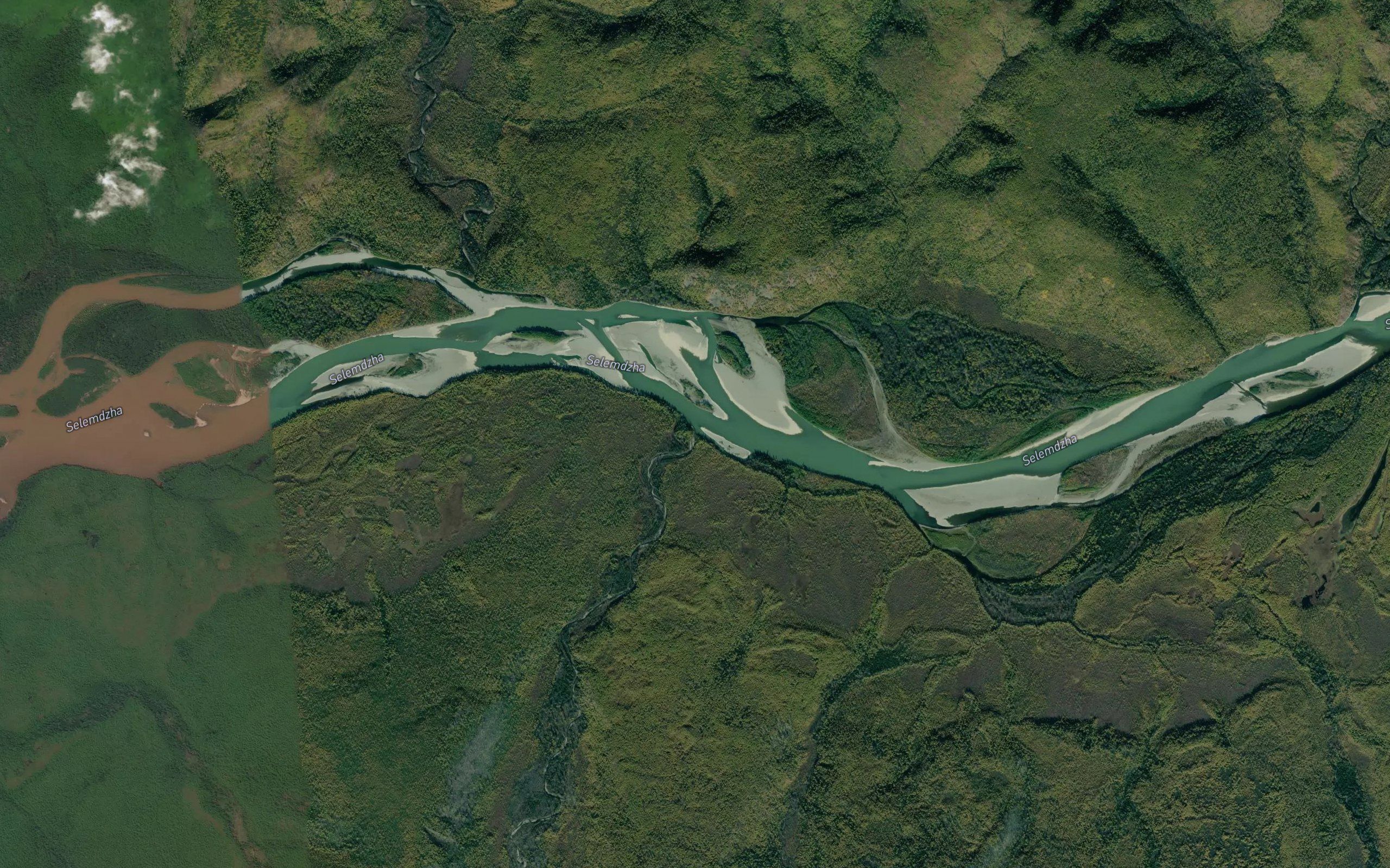 Tarynakh