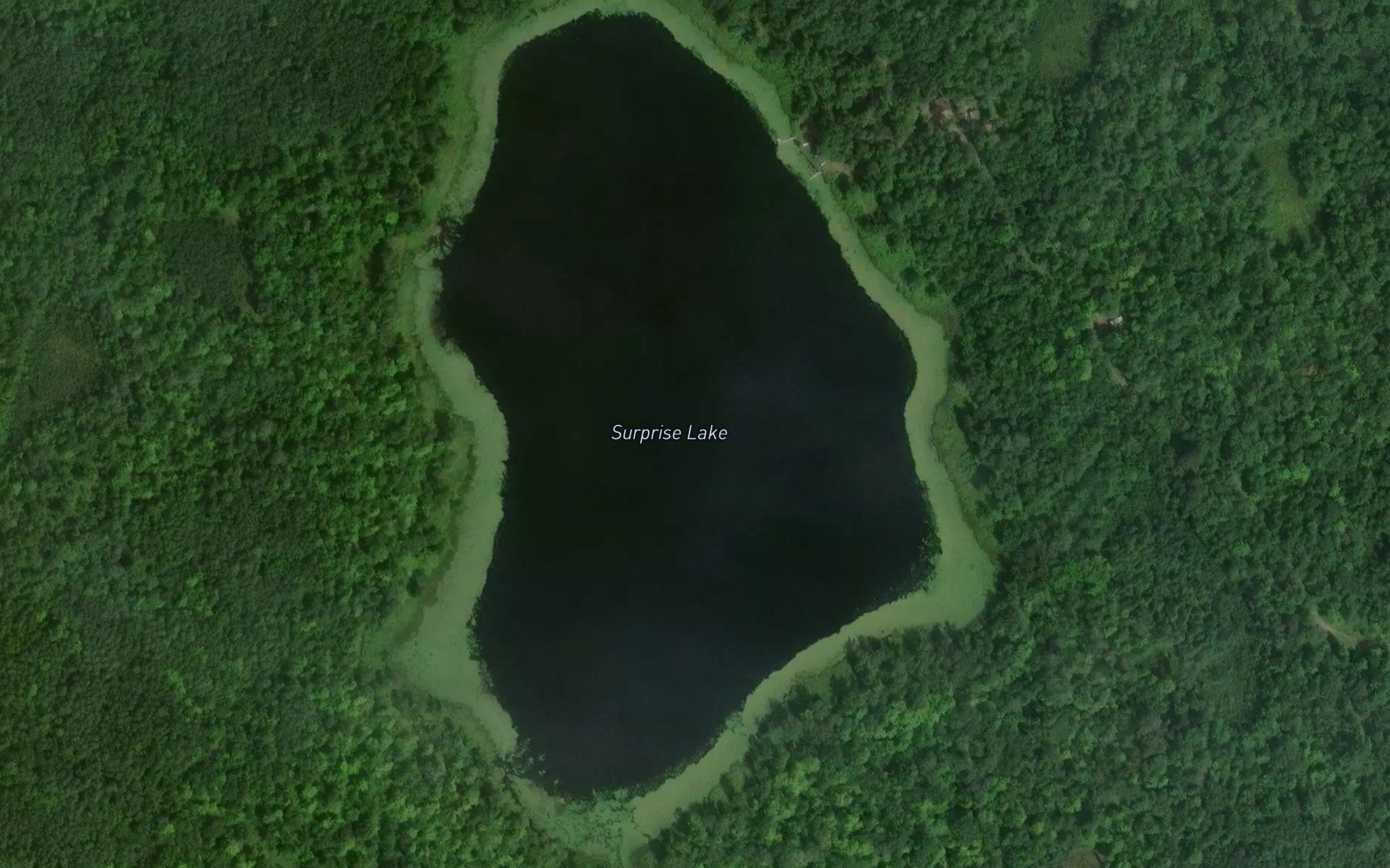 Surprise Lake