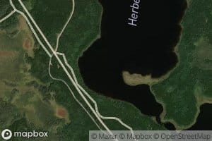 Herbert Lake