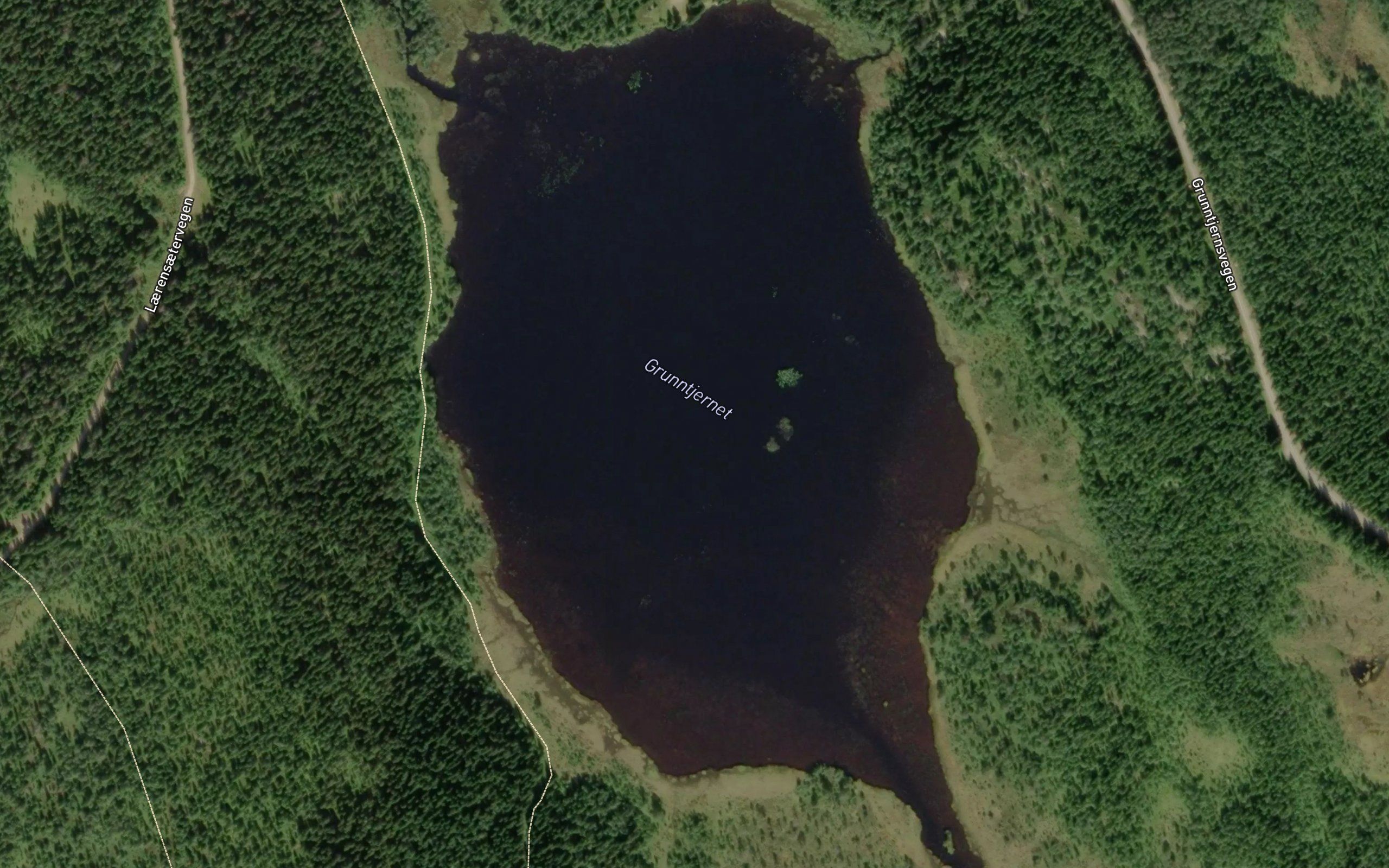 Grunntjern