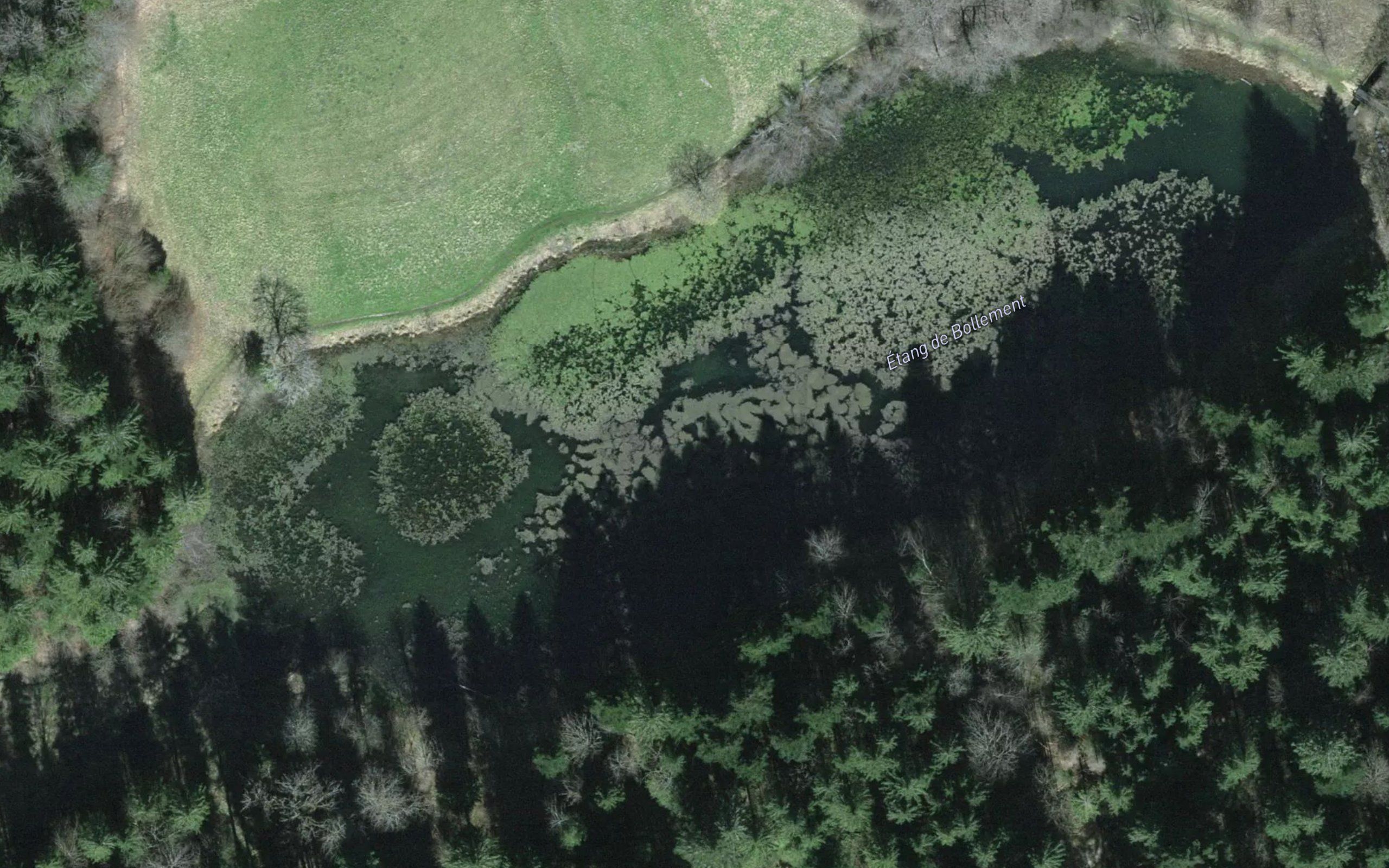 Etang de Bollement