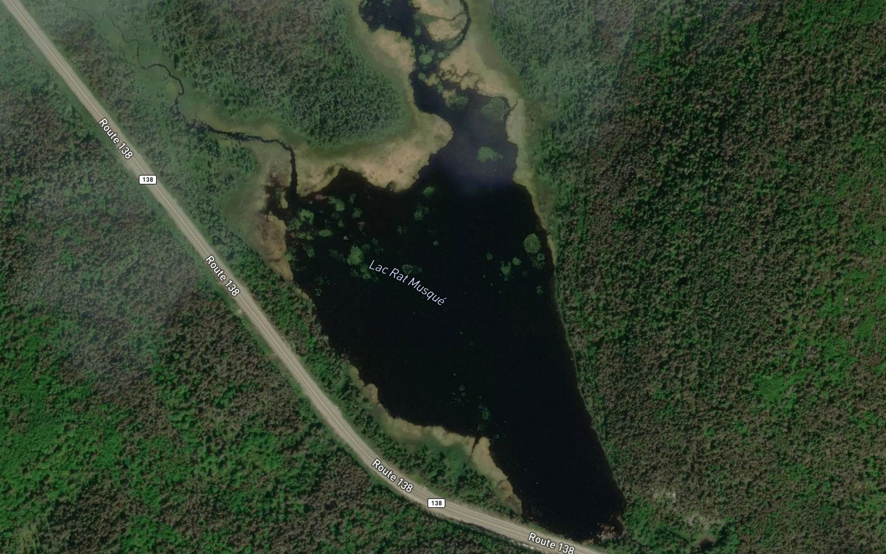 Satellite map of the Lac Rat Musque