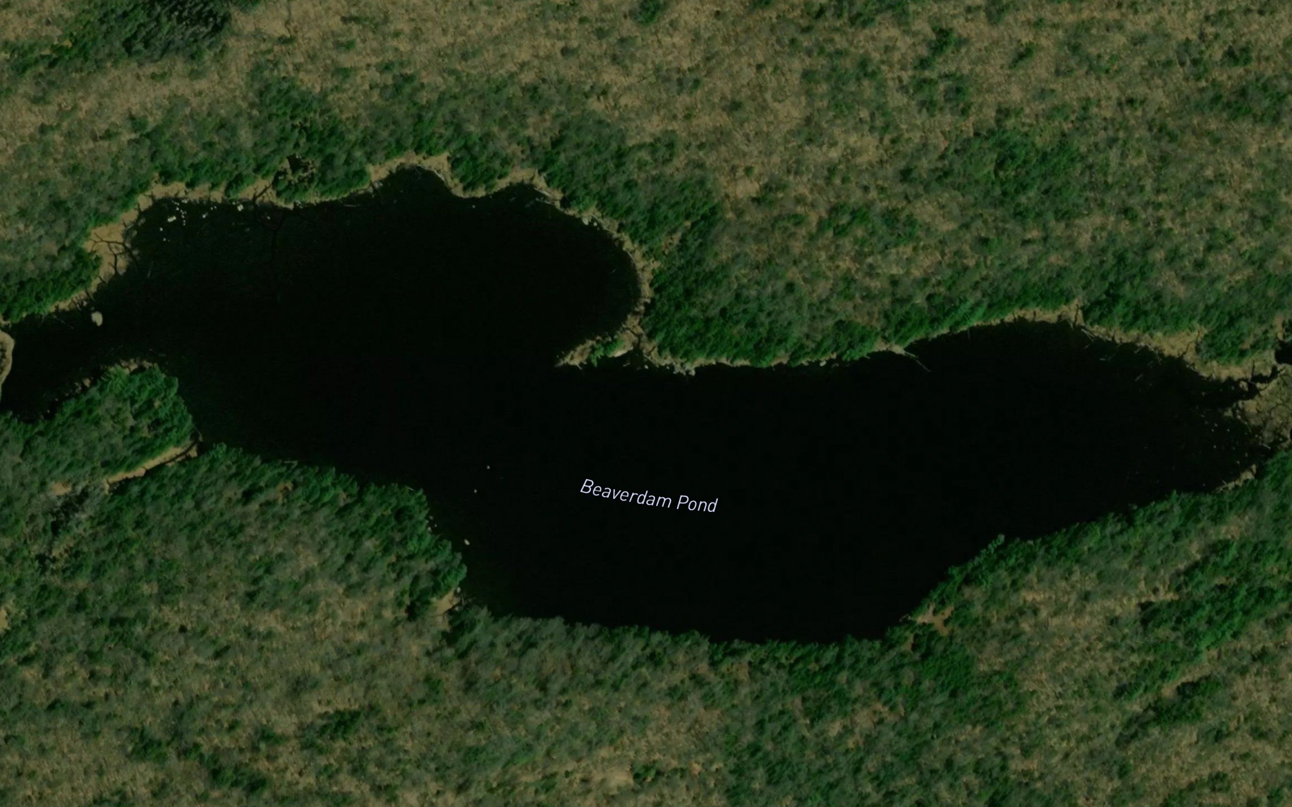 Beaverdam Pond