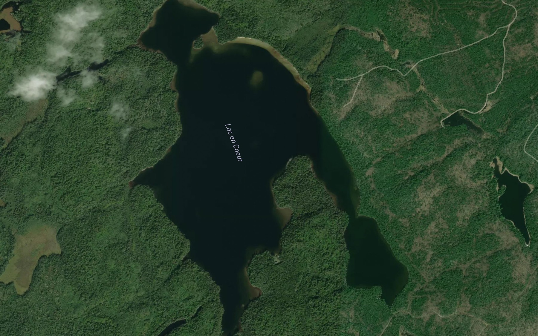 Satellite map of the Lac en Coeur