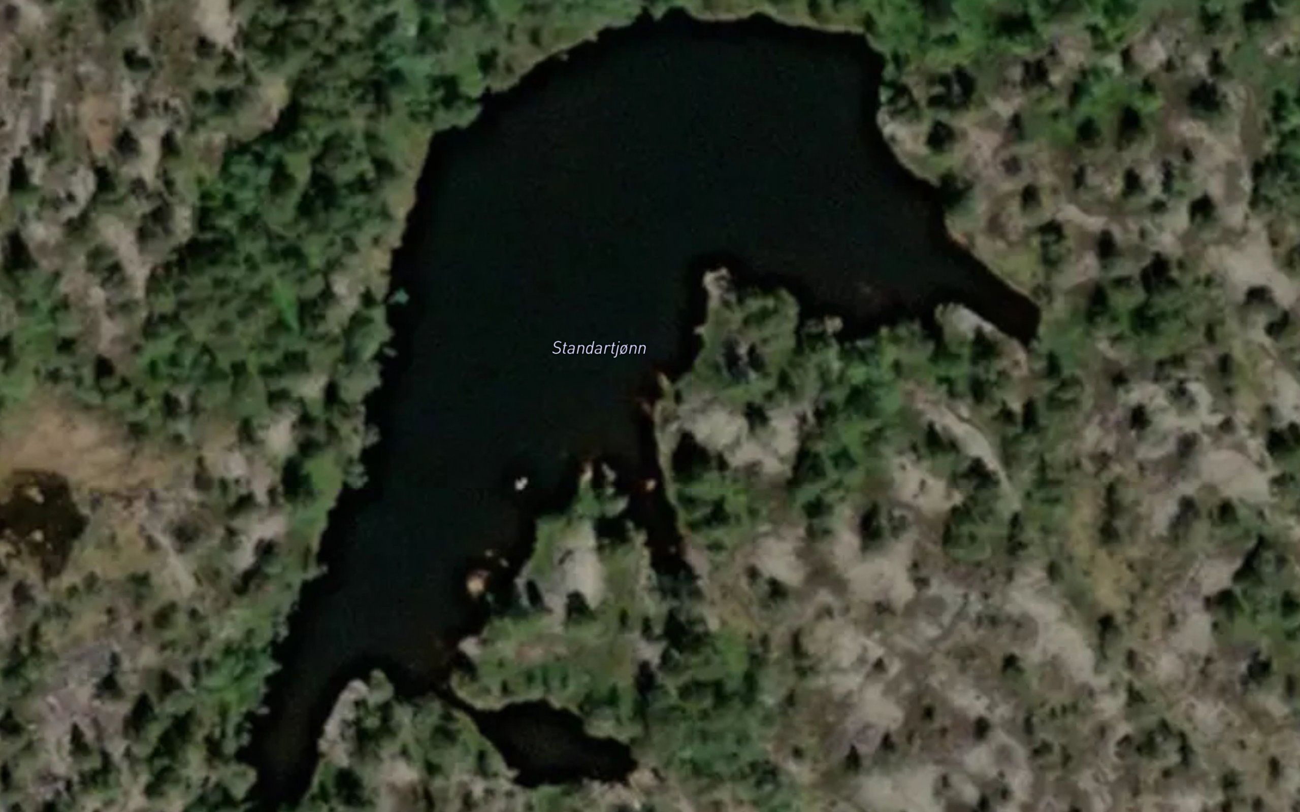 Standartjorn