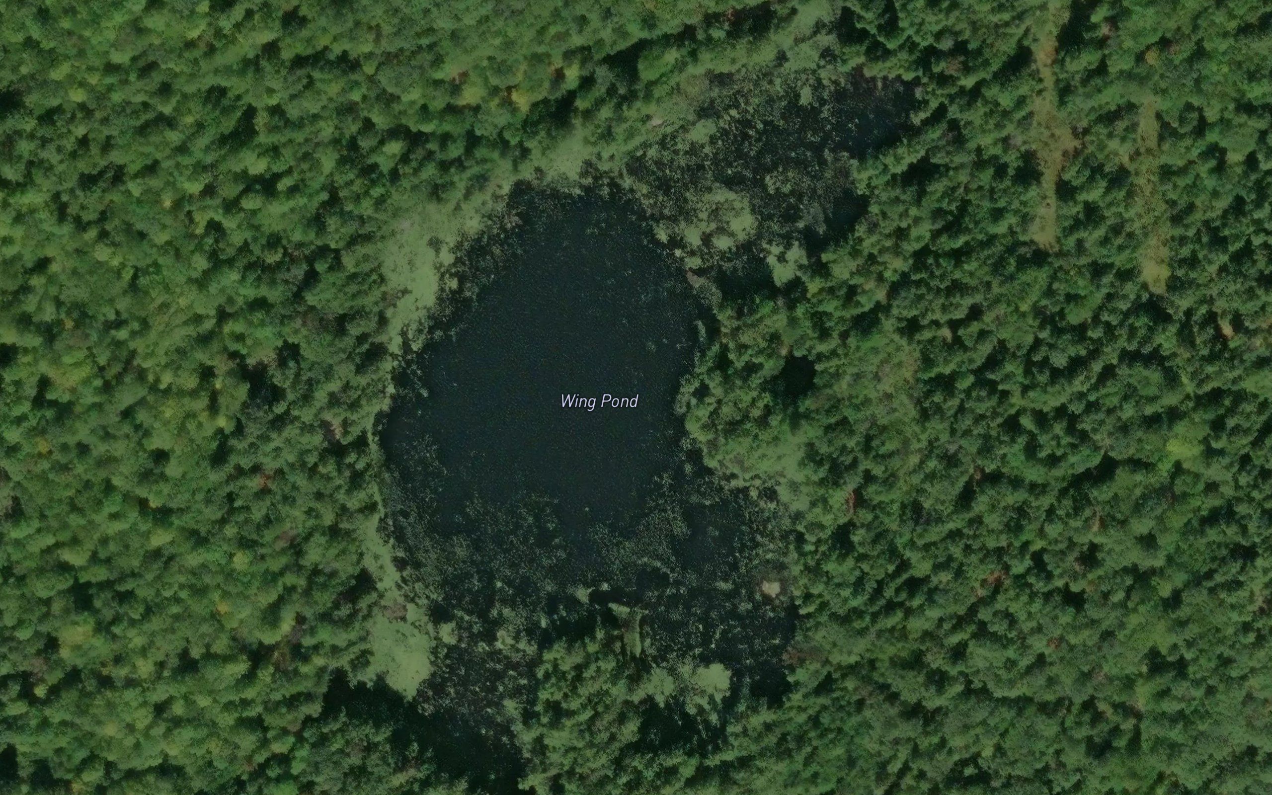 Wing Pond