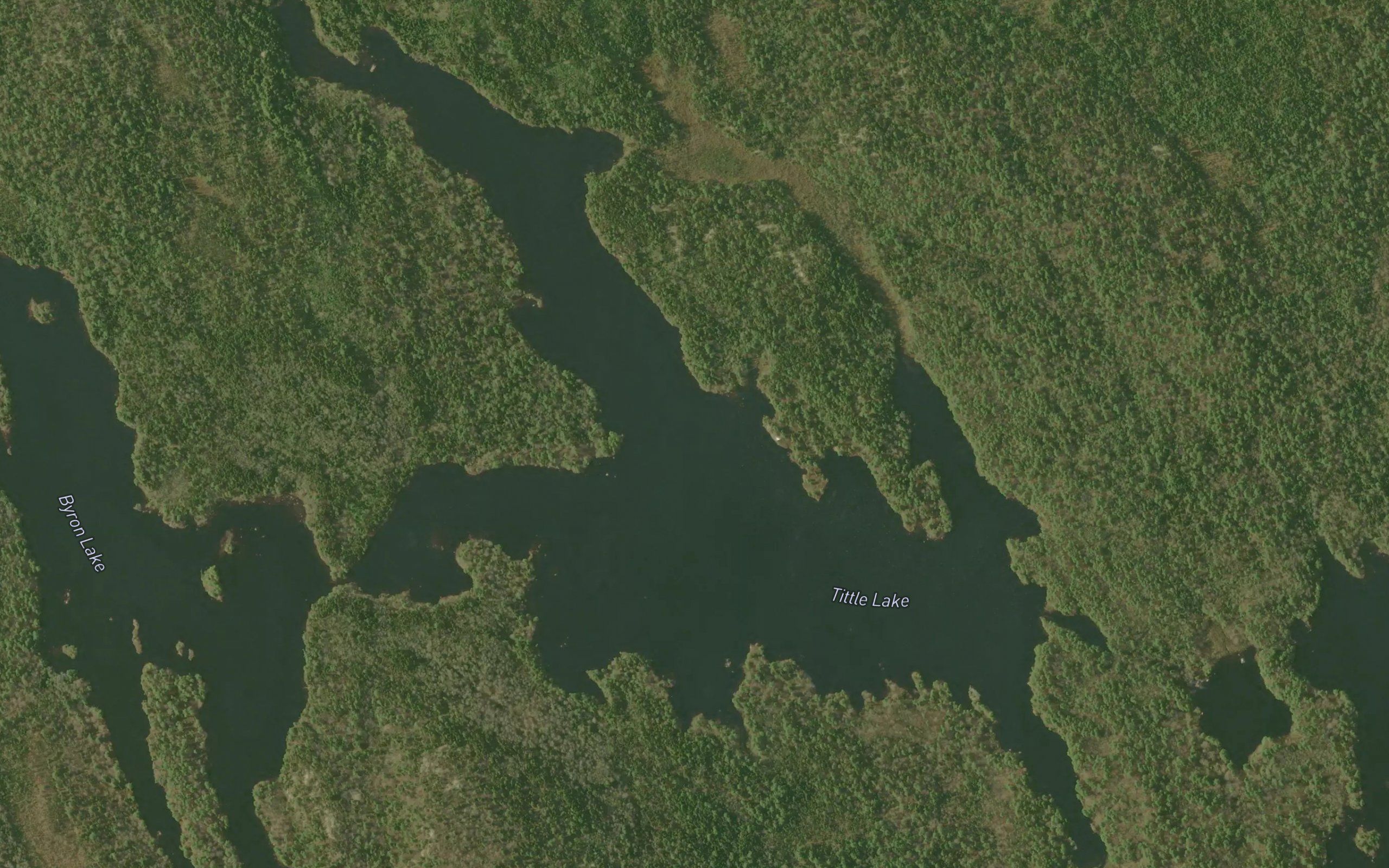 Tittle Lake