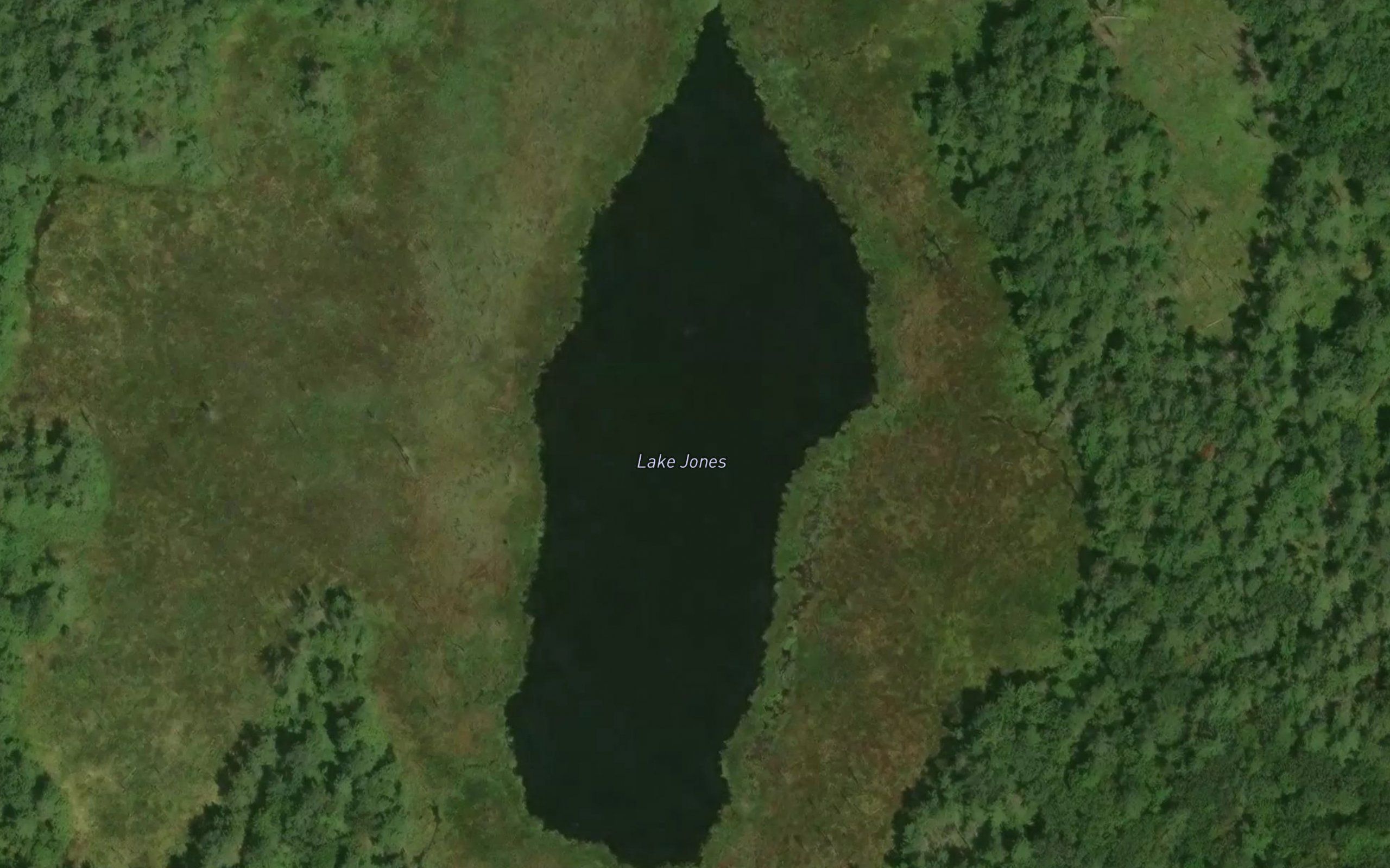 Lake Jones