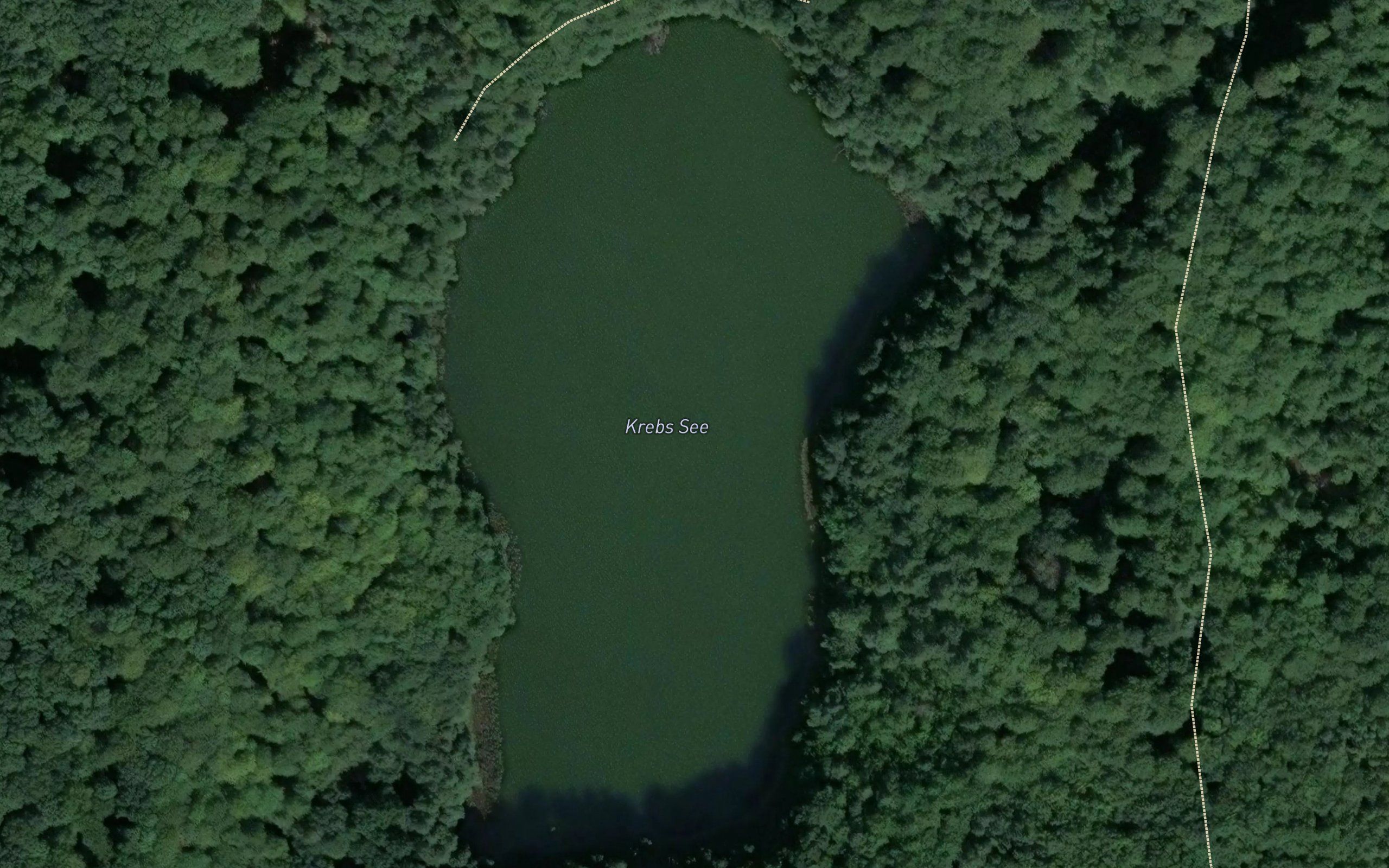 Krebs See