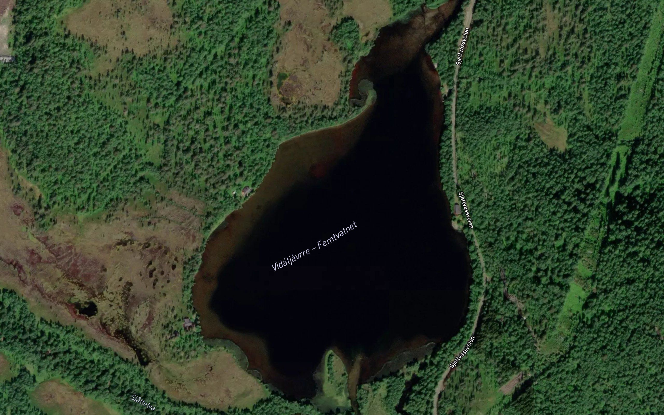 Vidatjavri