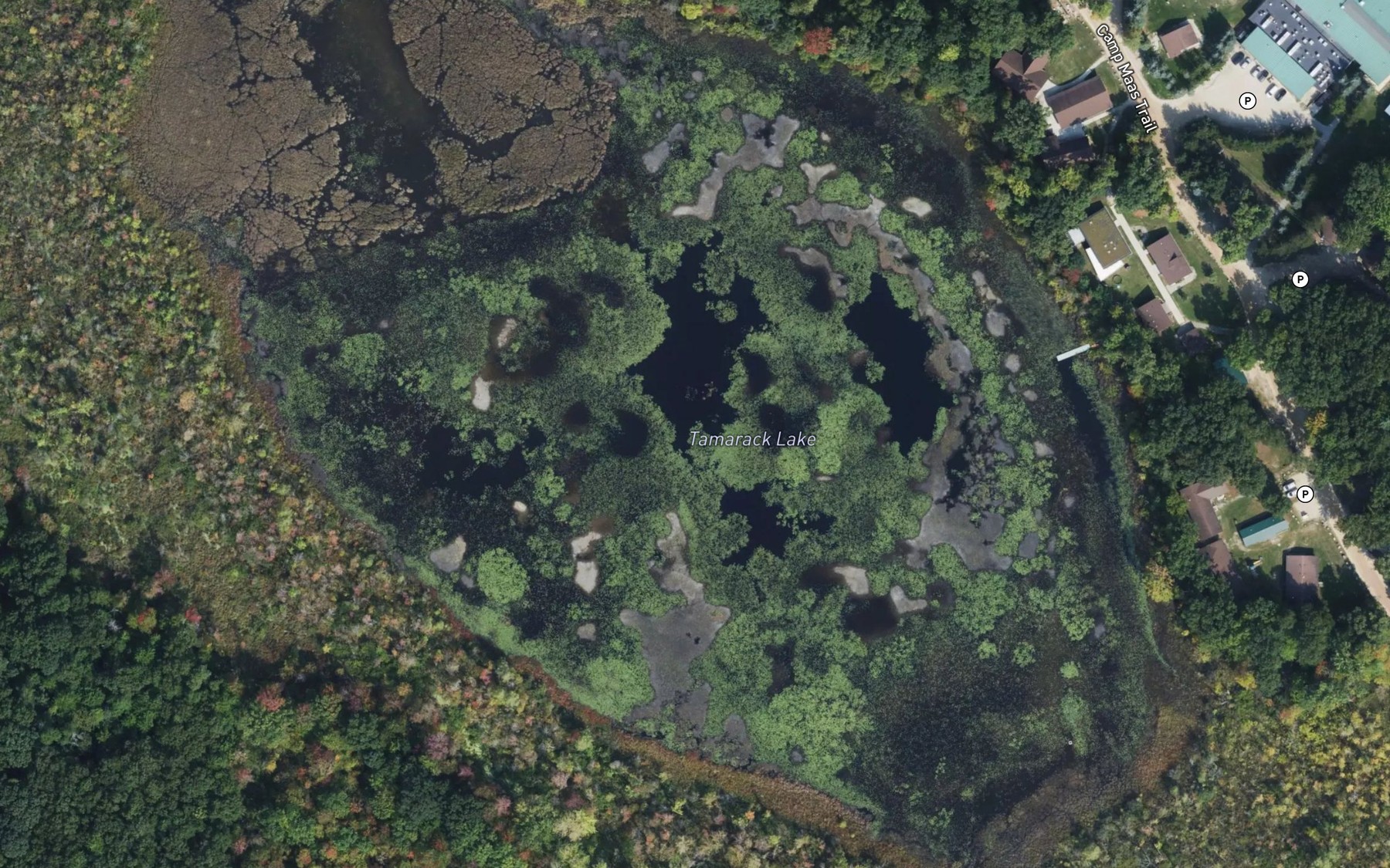 Satellite map of the Tamarack Lake