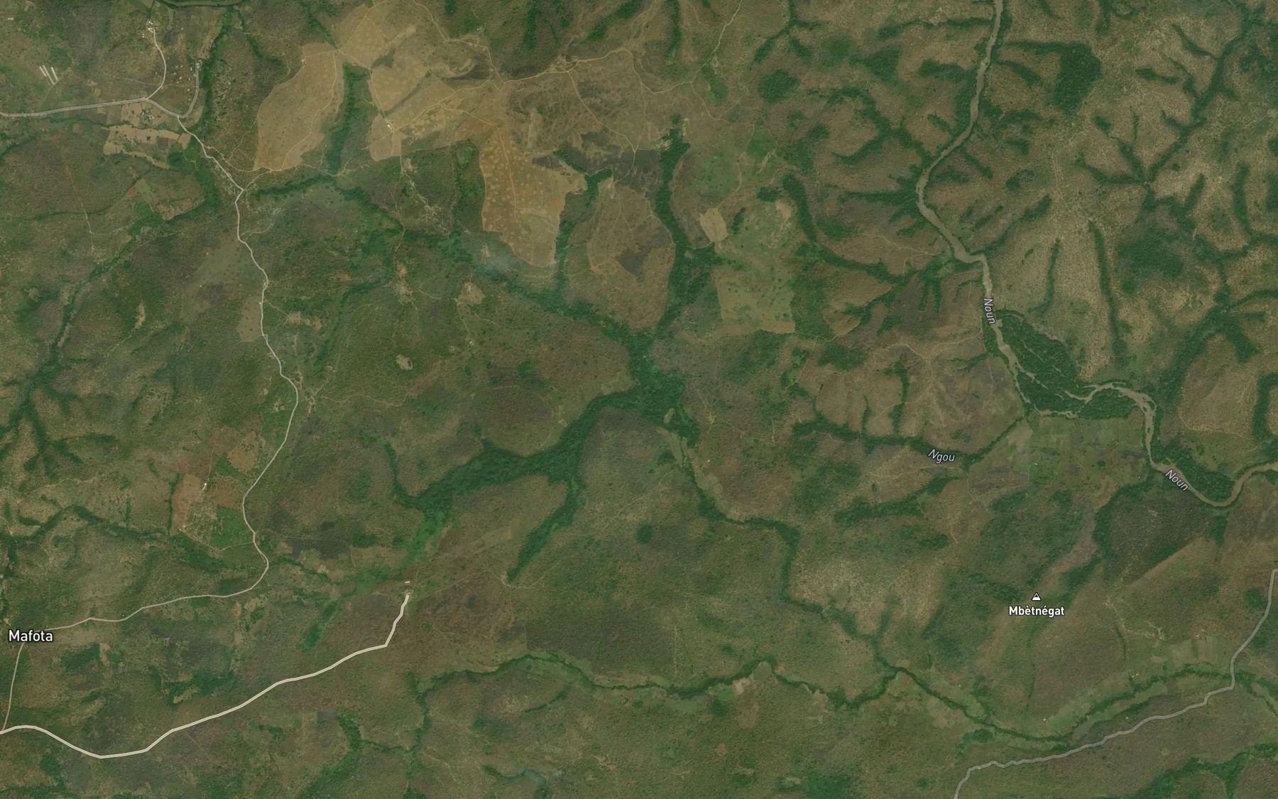 Satellite map of the Ngou