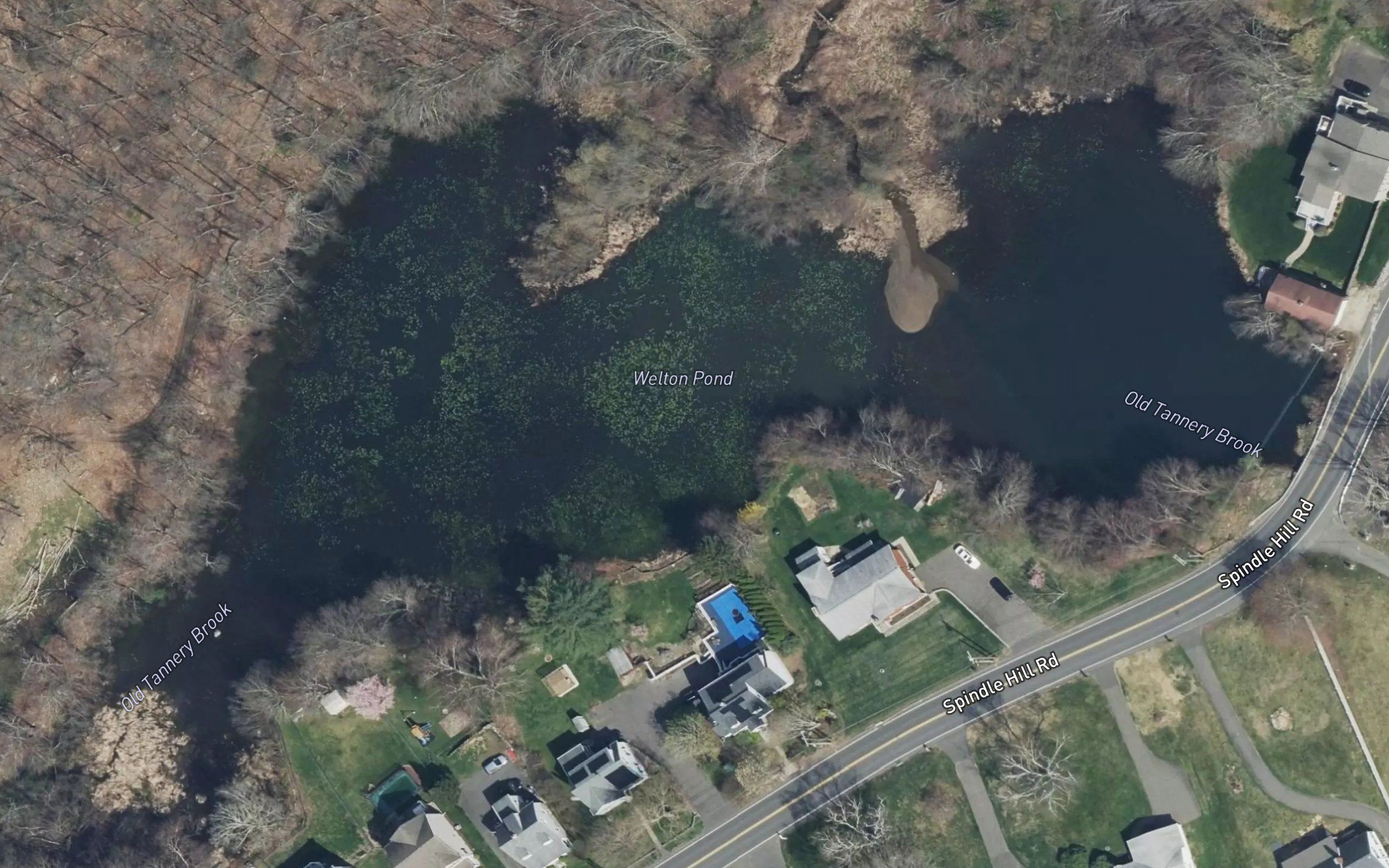 Welton Pond