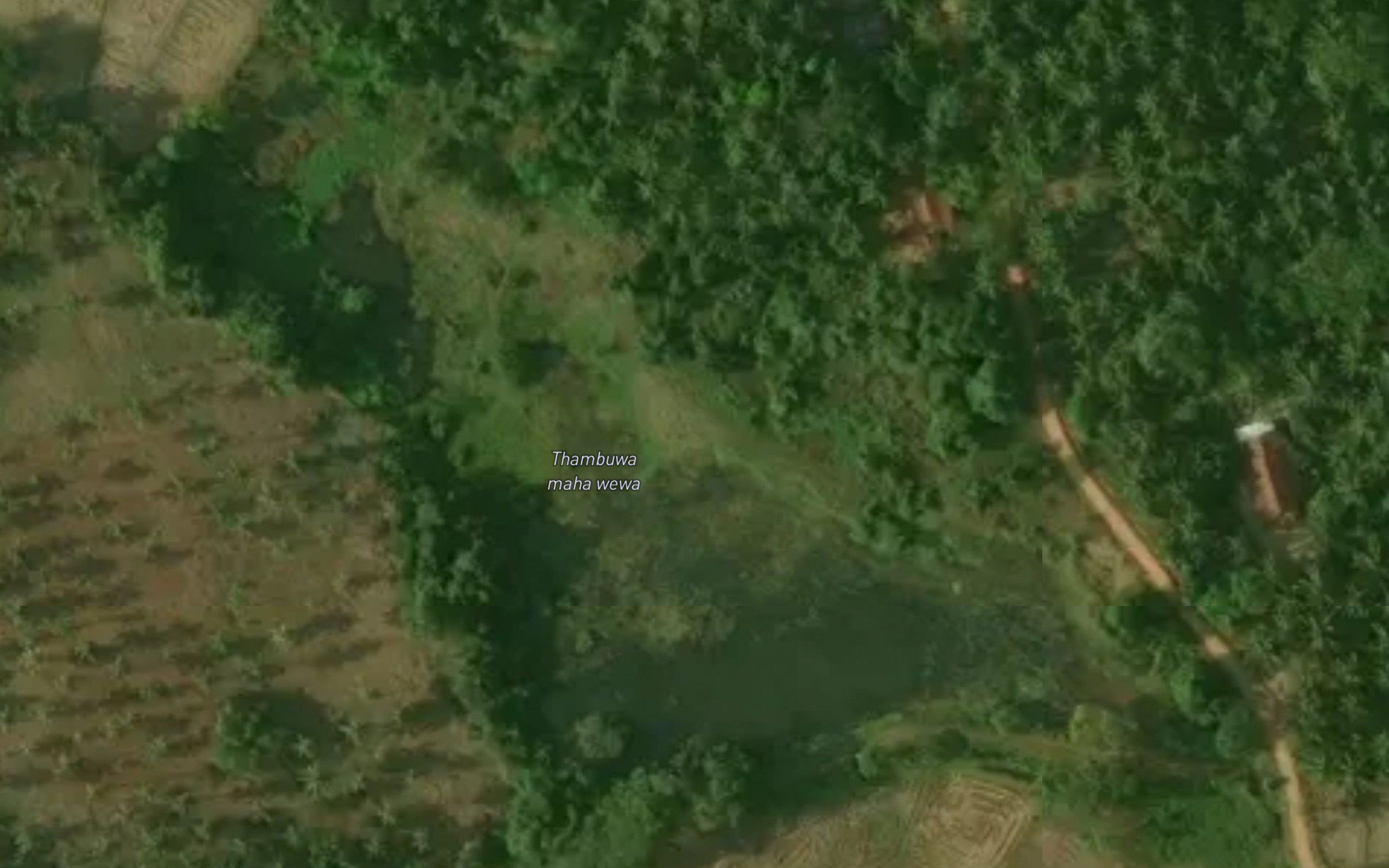 Pannilawa Wewa