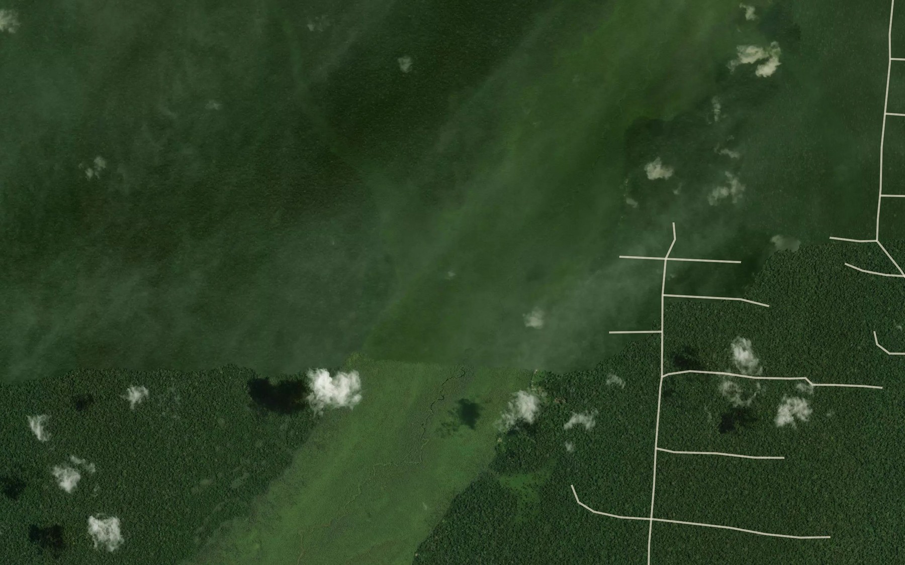 Satellite map of the Ngombe