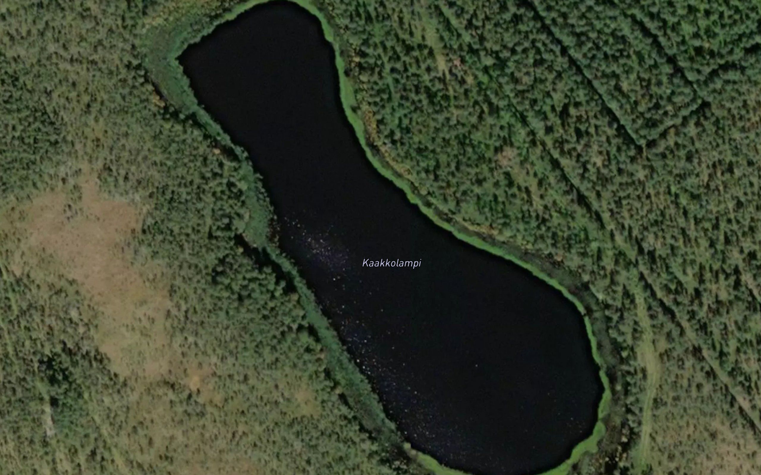 Kaakkolampi