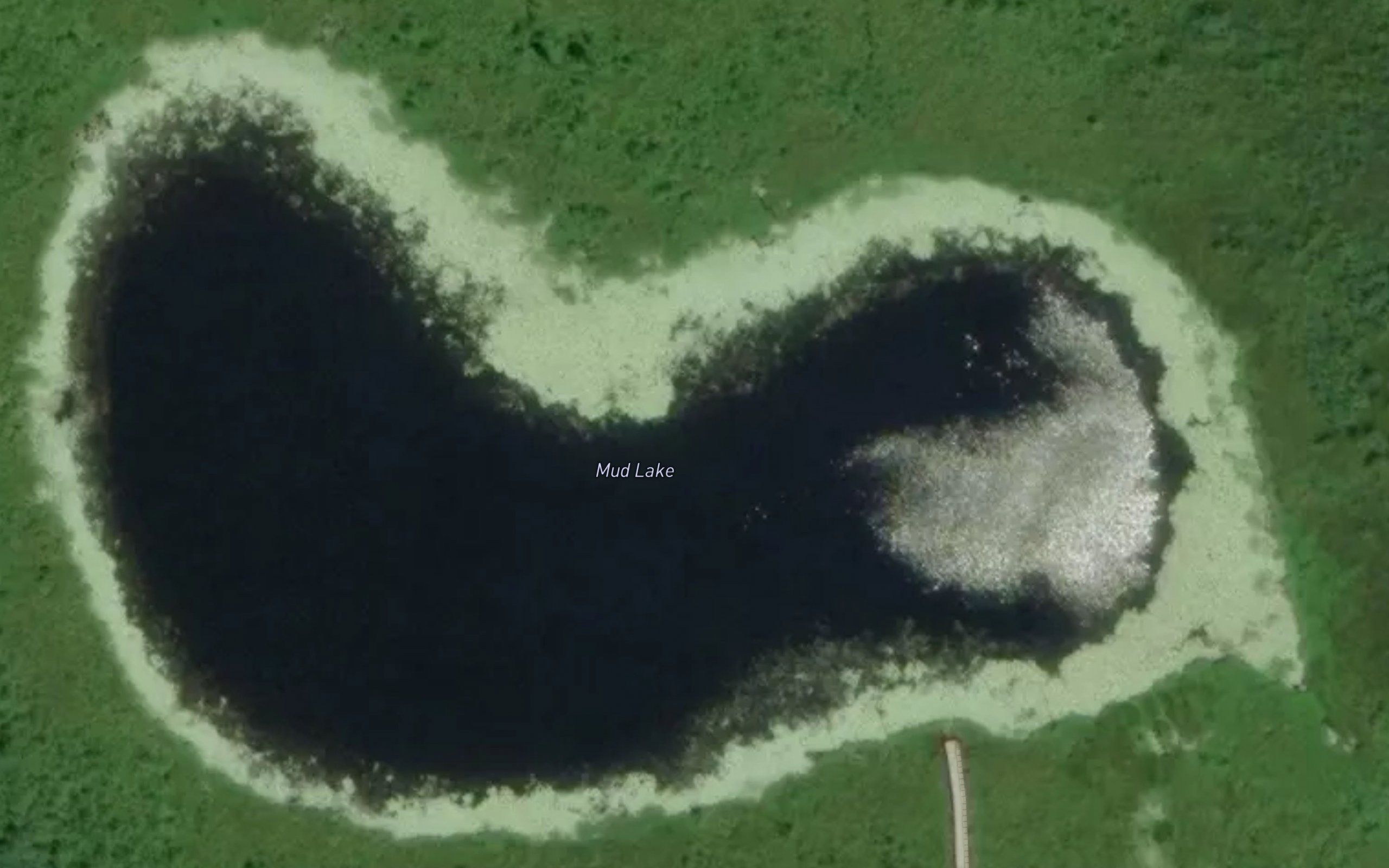 Mud Lake