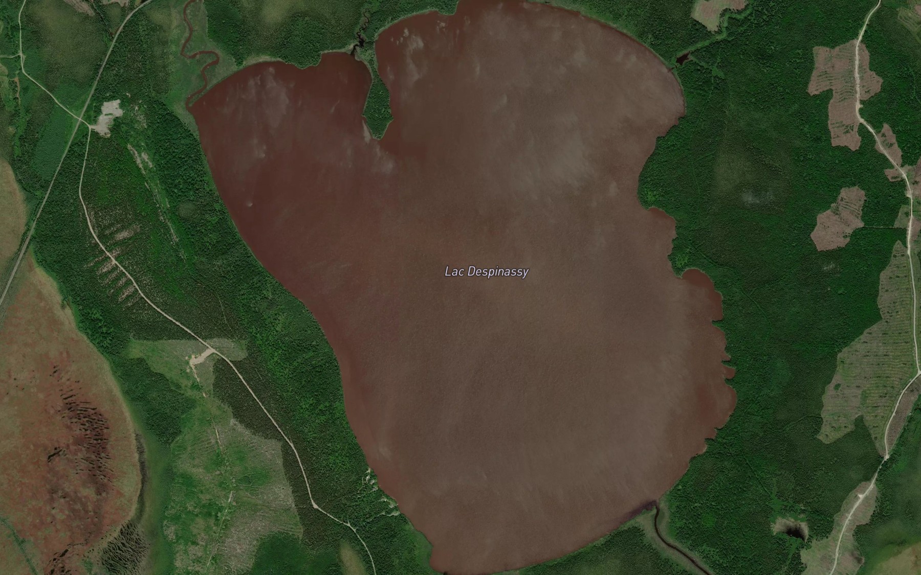 Satellite map of the Lac Despinassy