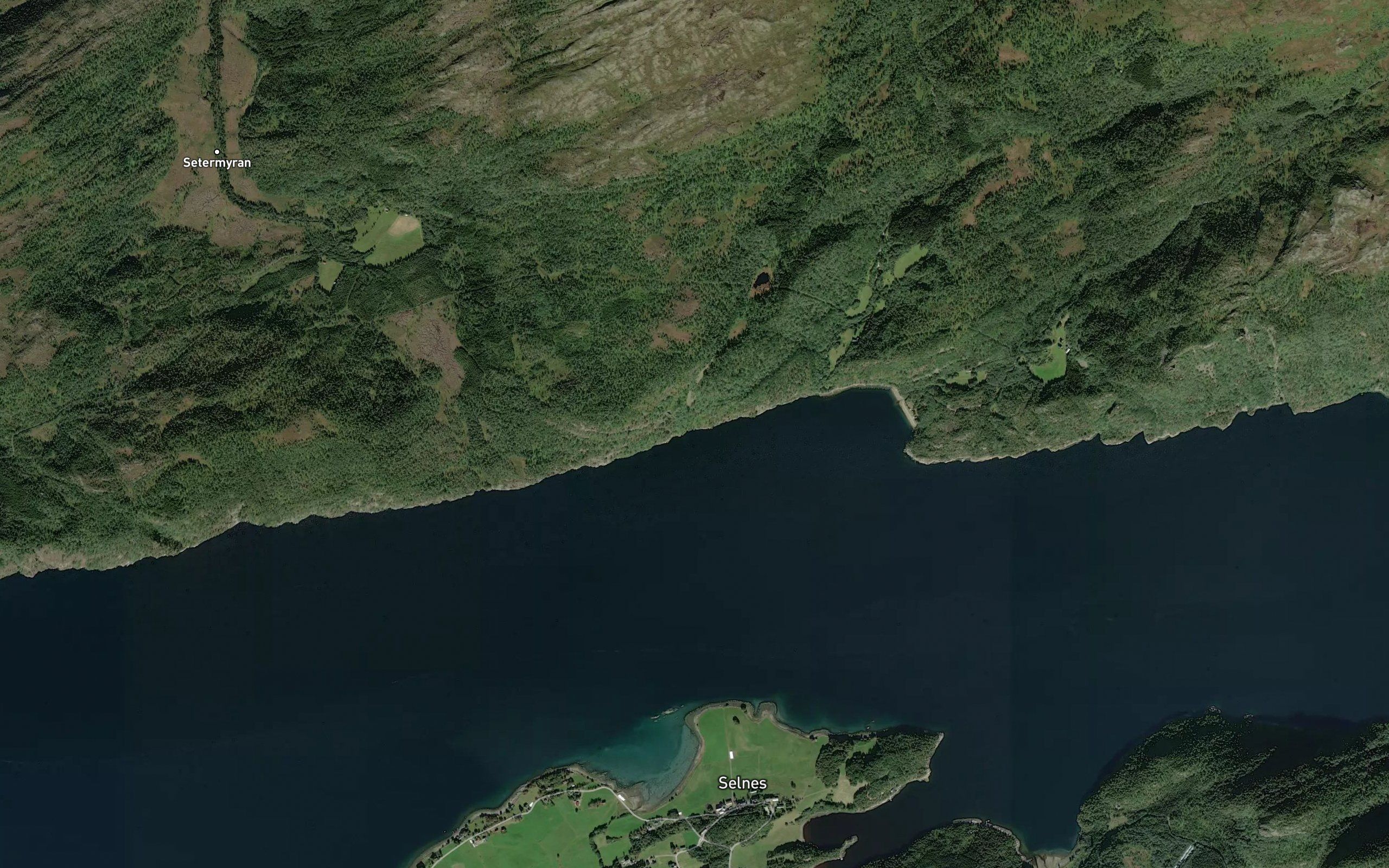 Klungervikkalvvika