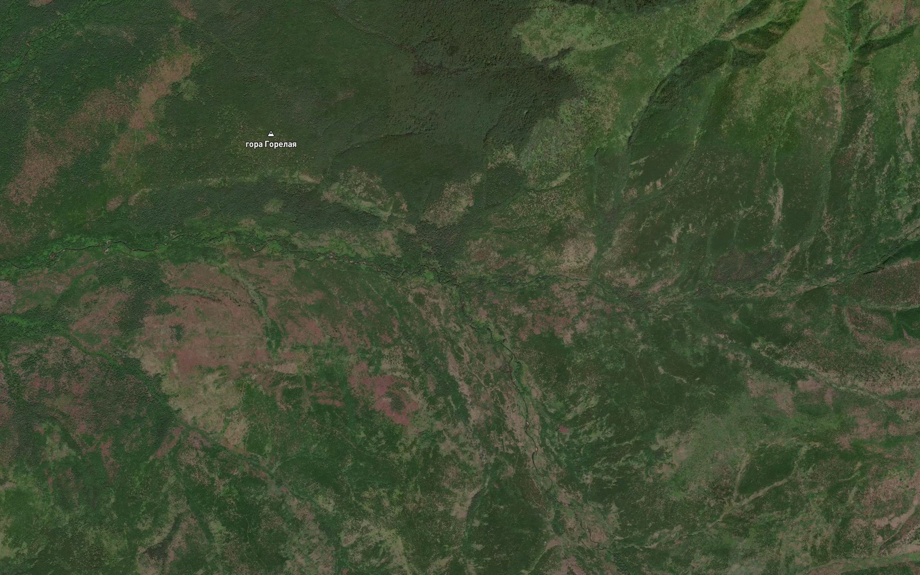 Satellite map of the Levyy Izvilistyy
