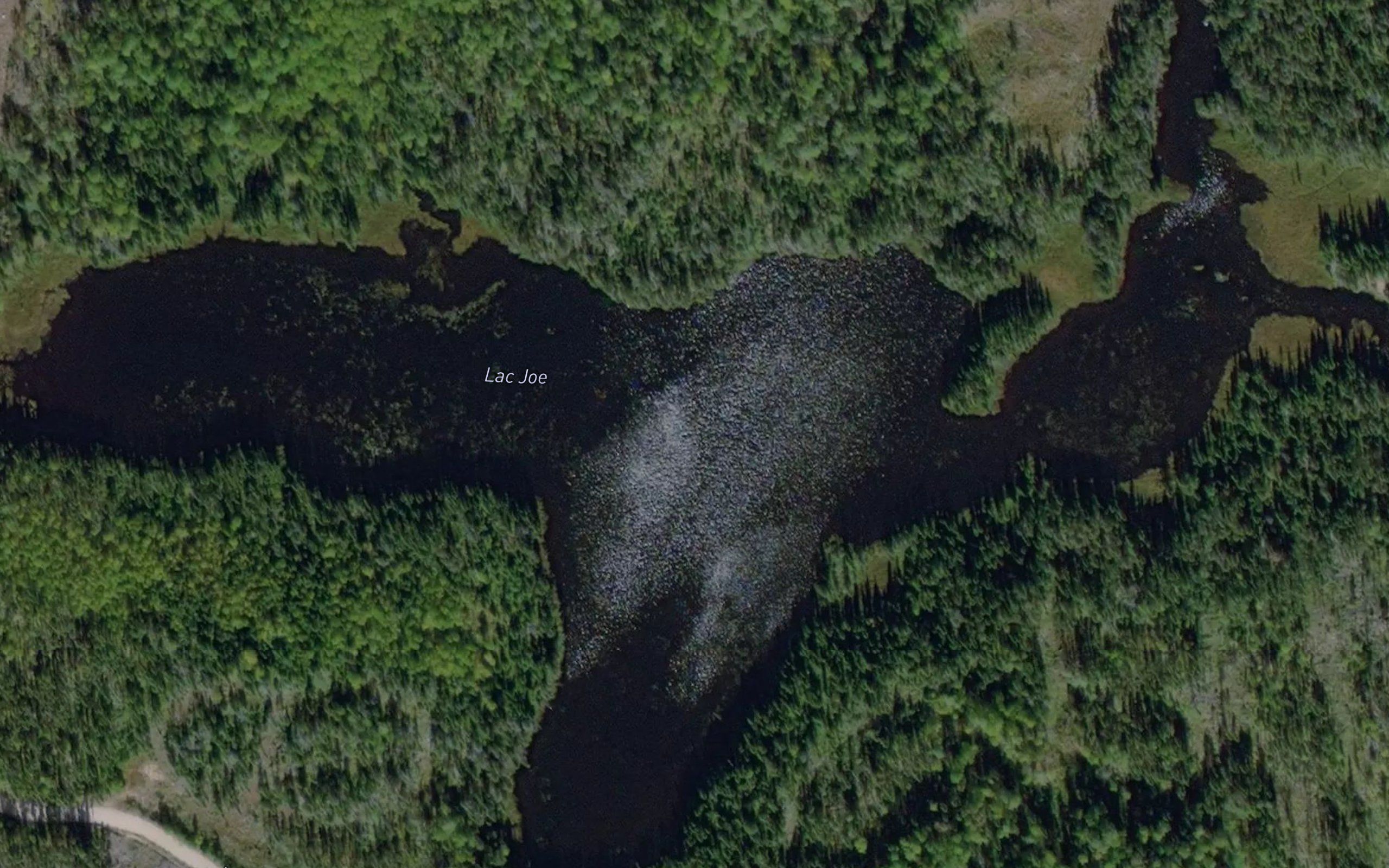 Lac Joe