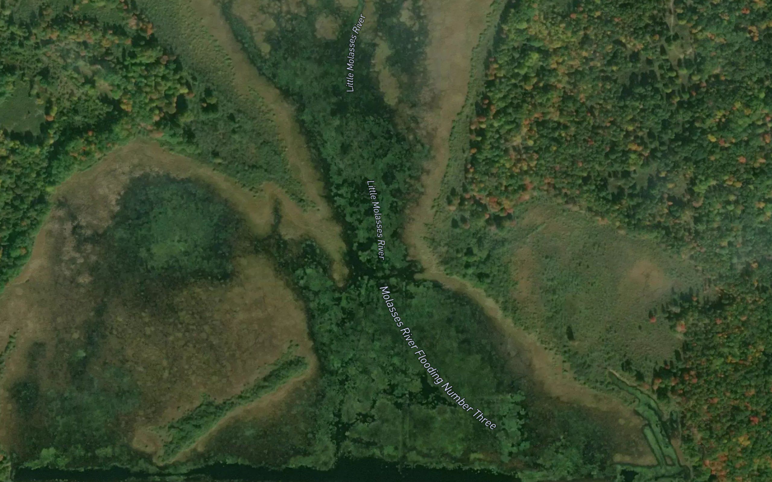 Molasses River Flooding Number Three