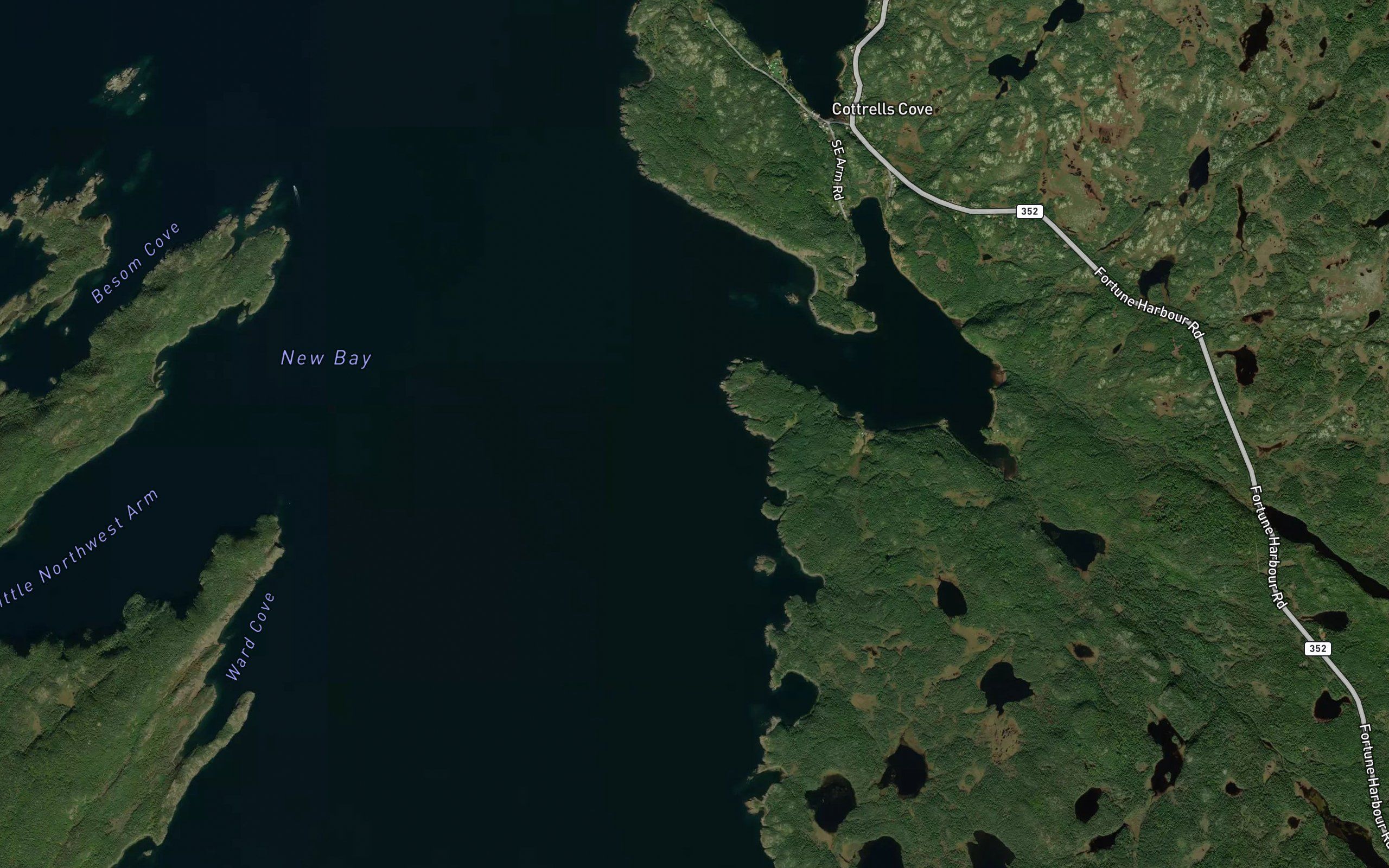 Fox Cove