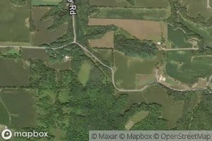 Black Springs