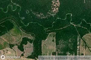Vaden Creek