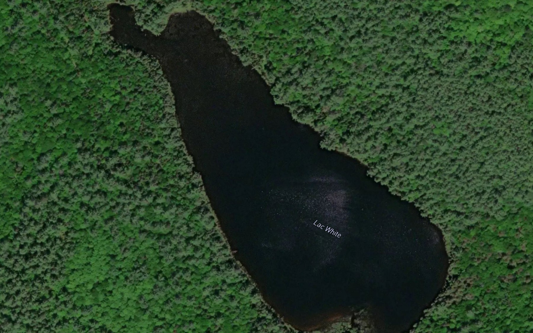 Satellite map of the Lac White
