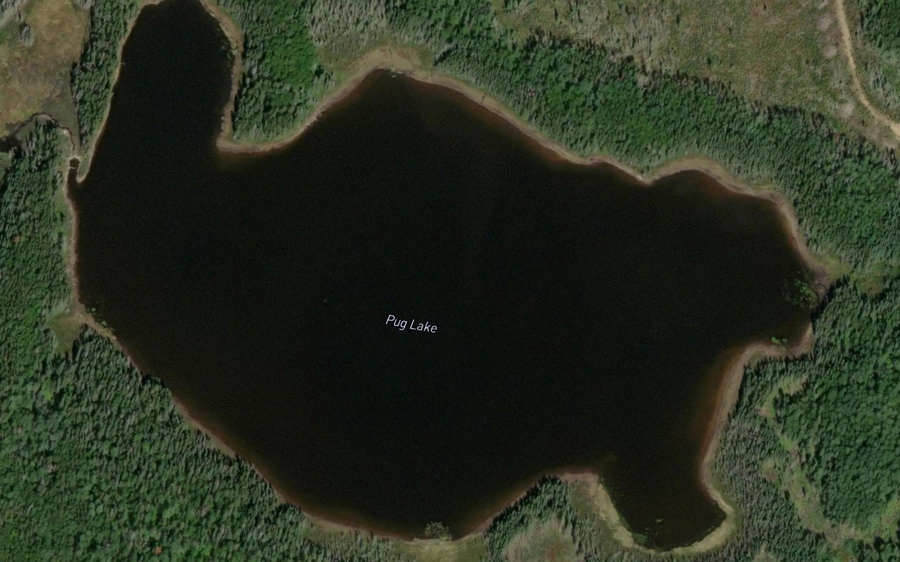 Satellite map of the Pug Lake