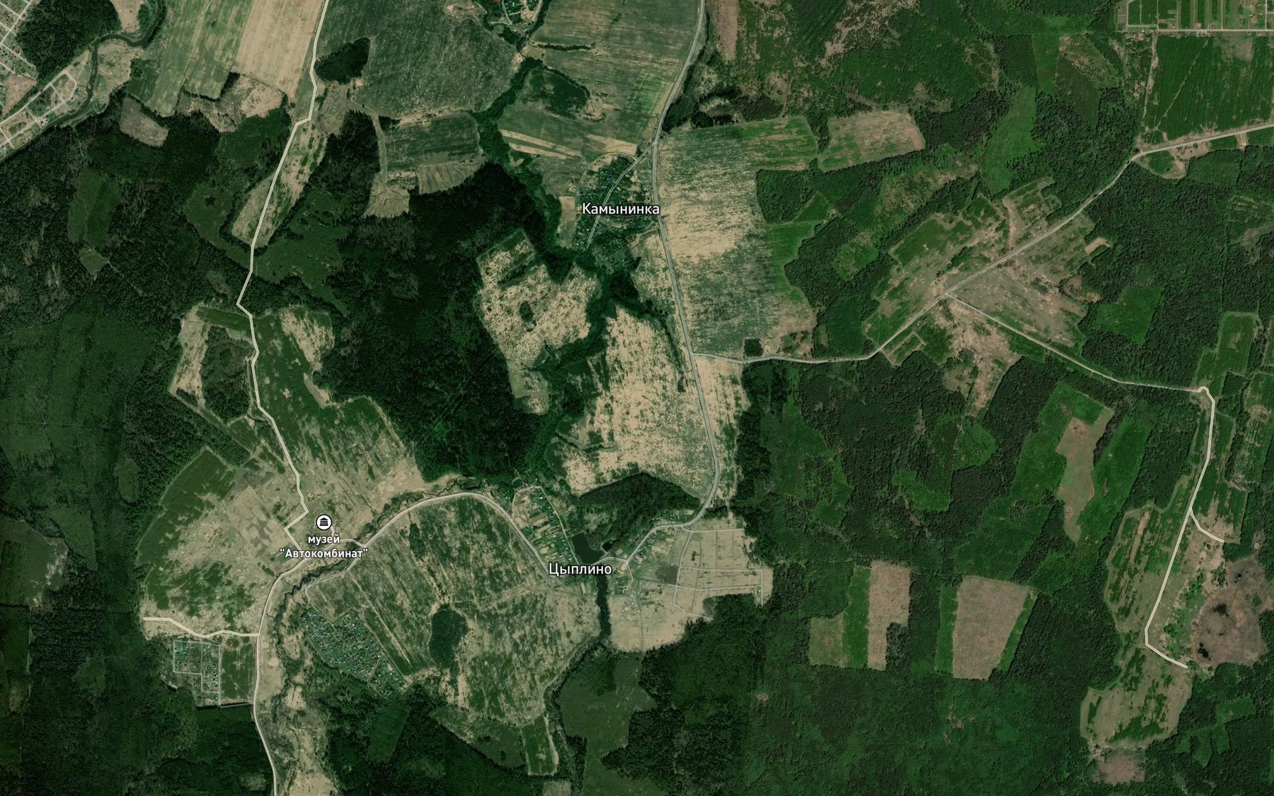 Satellite map of the Chernaya