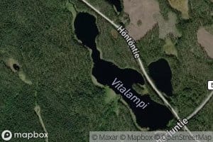 Viitalammit