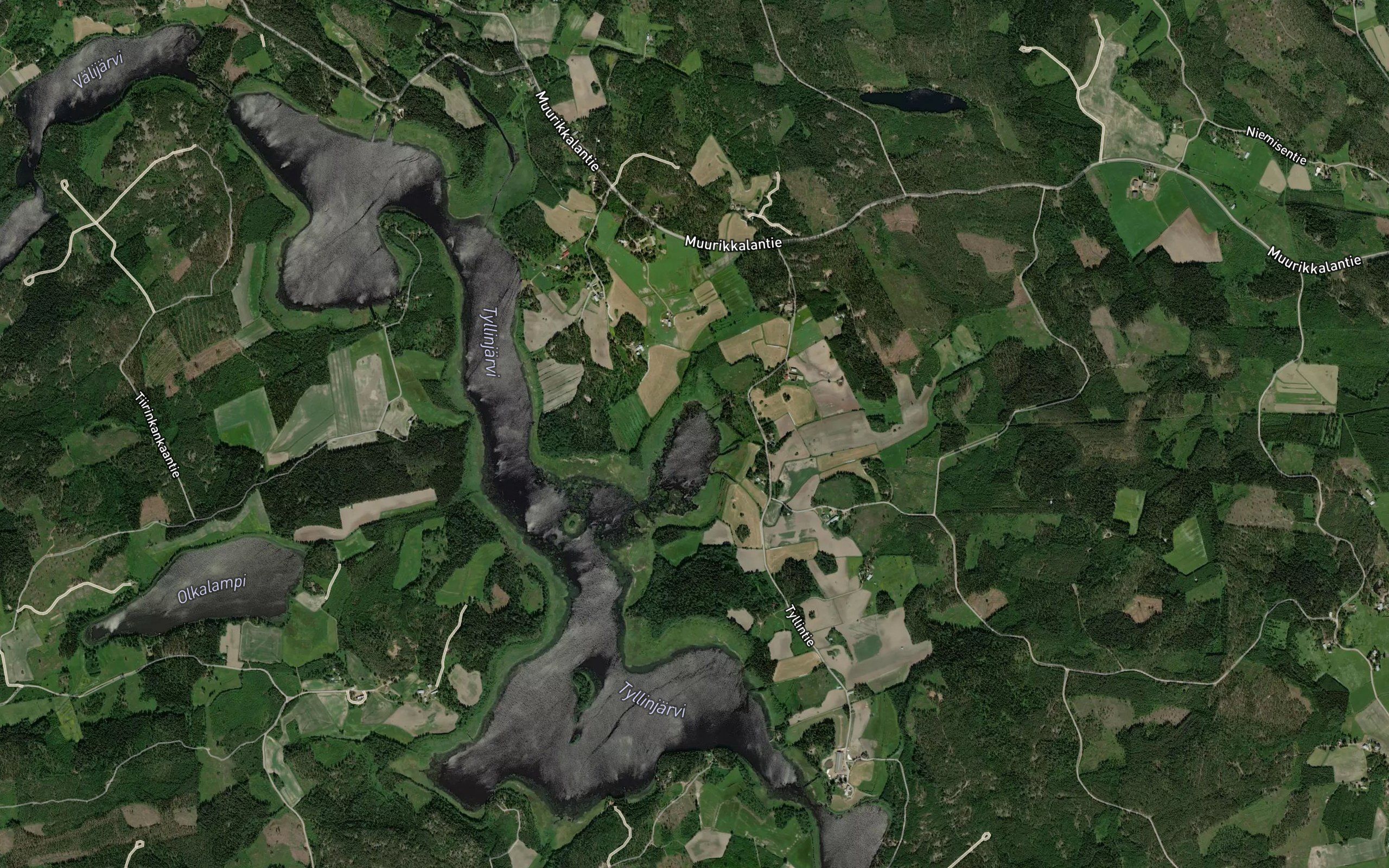 Salmelanpohja