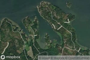 Dirviken
