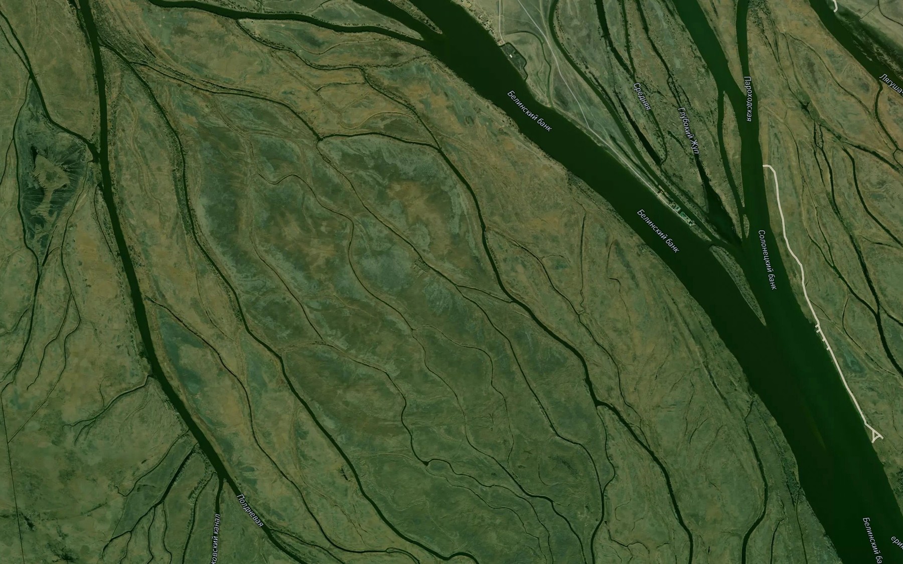 Satellite map of the Rybnaya