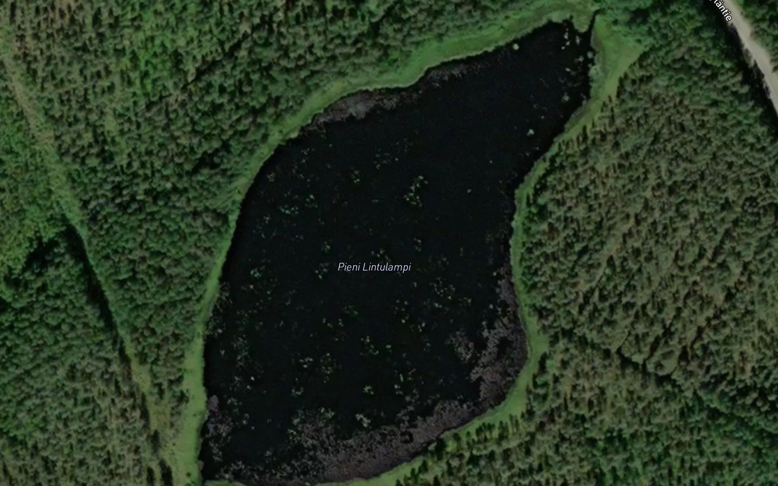 Pieni Lintulampi